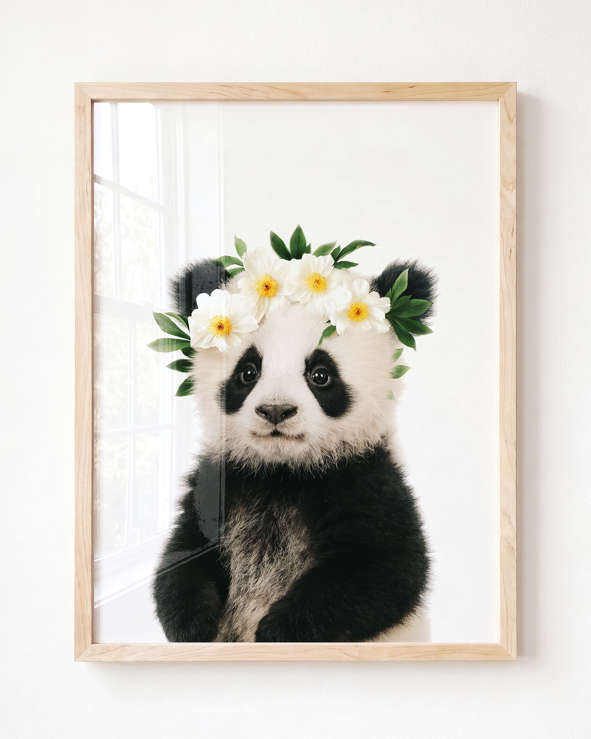 Baby Panda