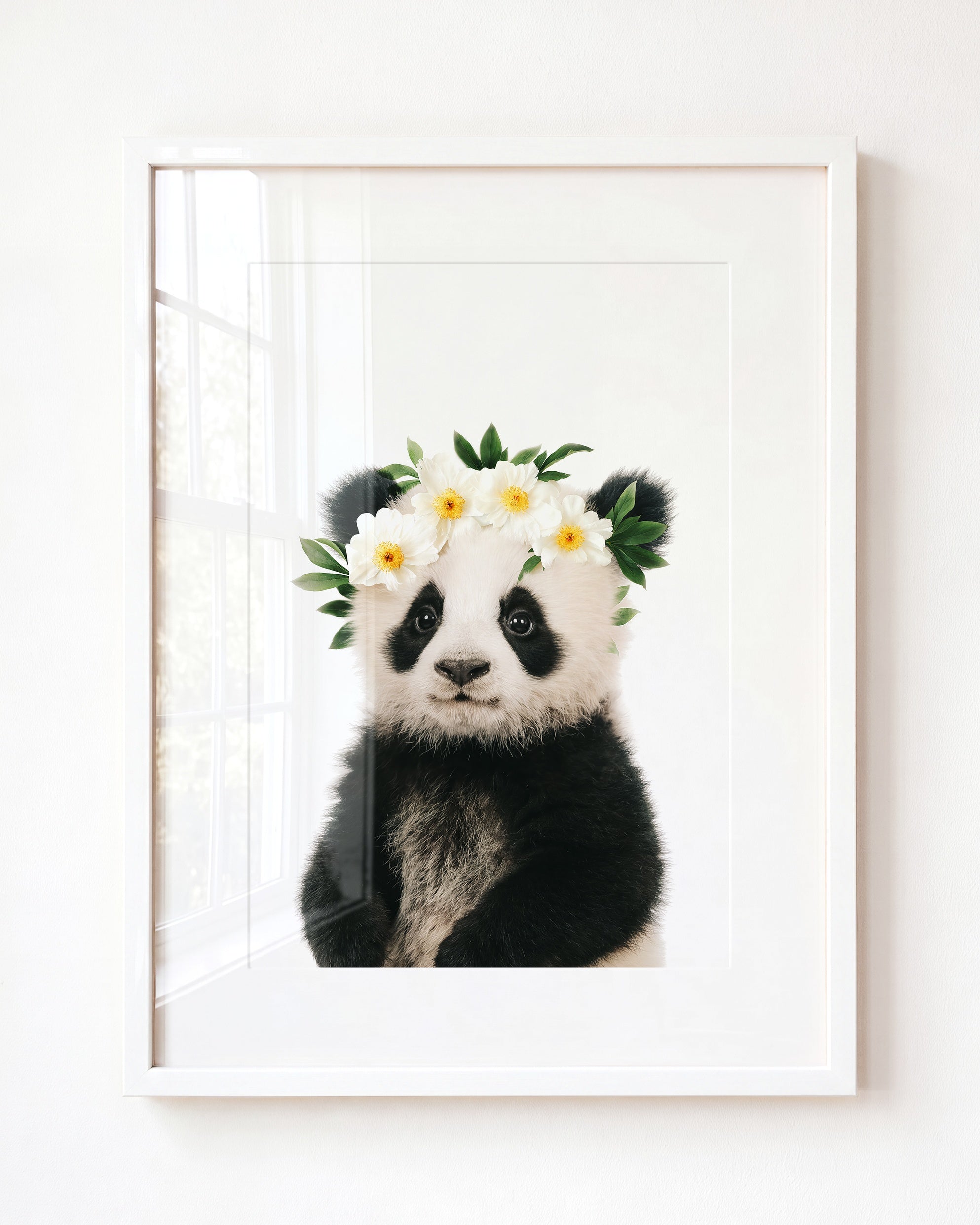 Baby Panda