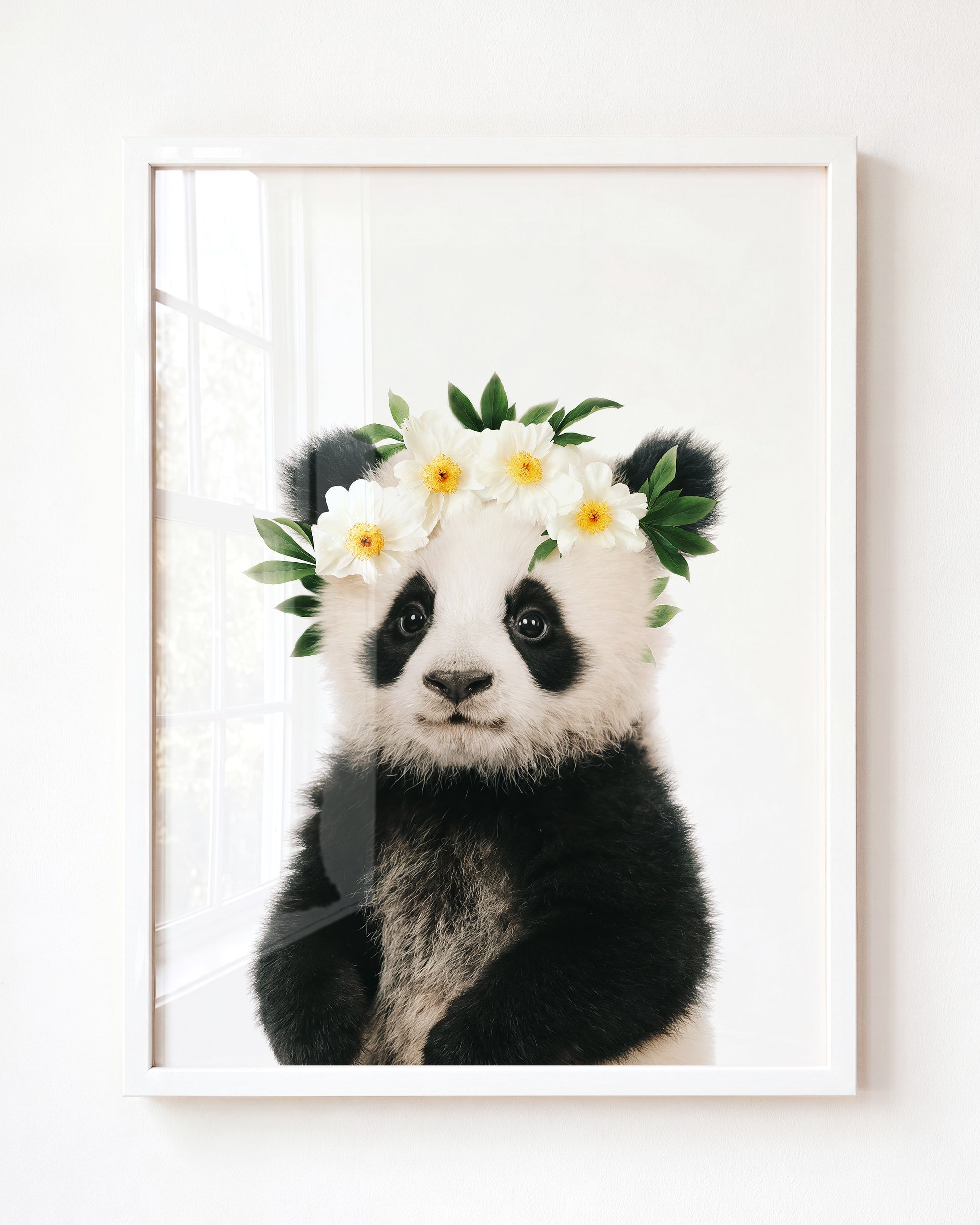 Baby Panda