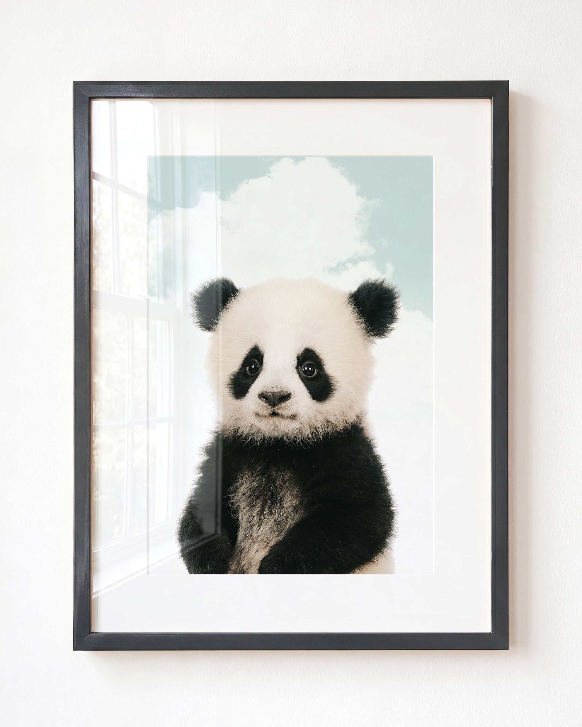 Baby Panda
