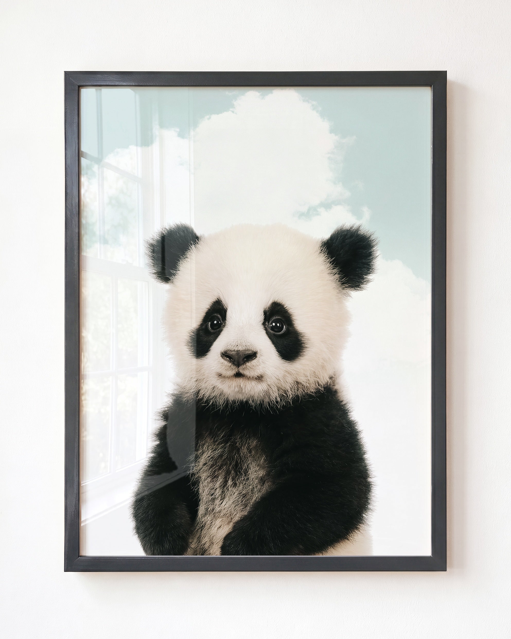 Baby Panda