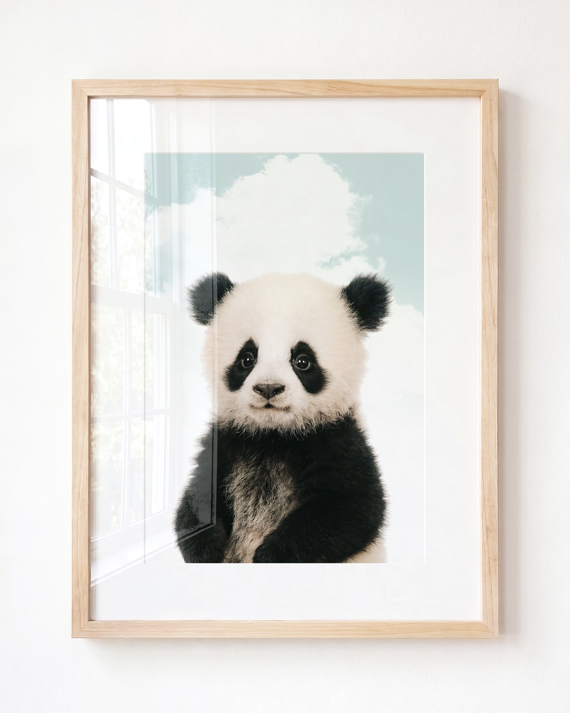 Baby Panda