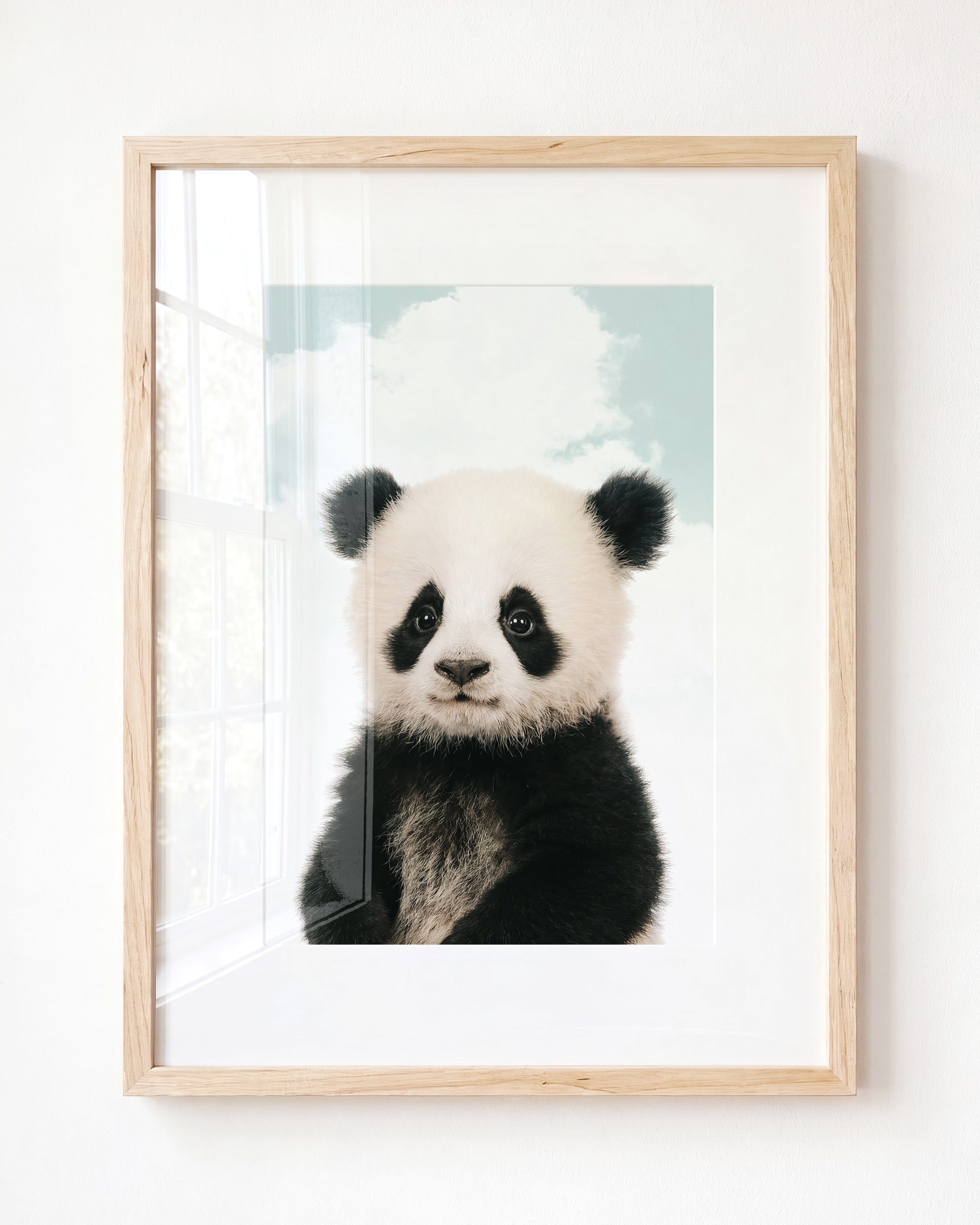 Baby Panda