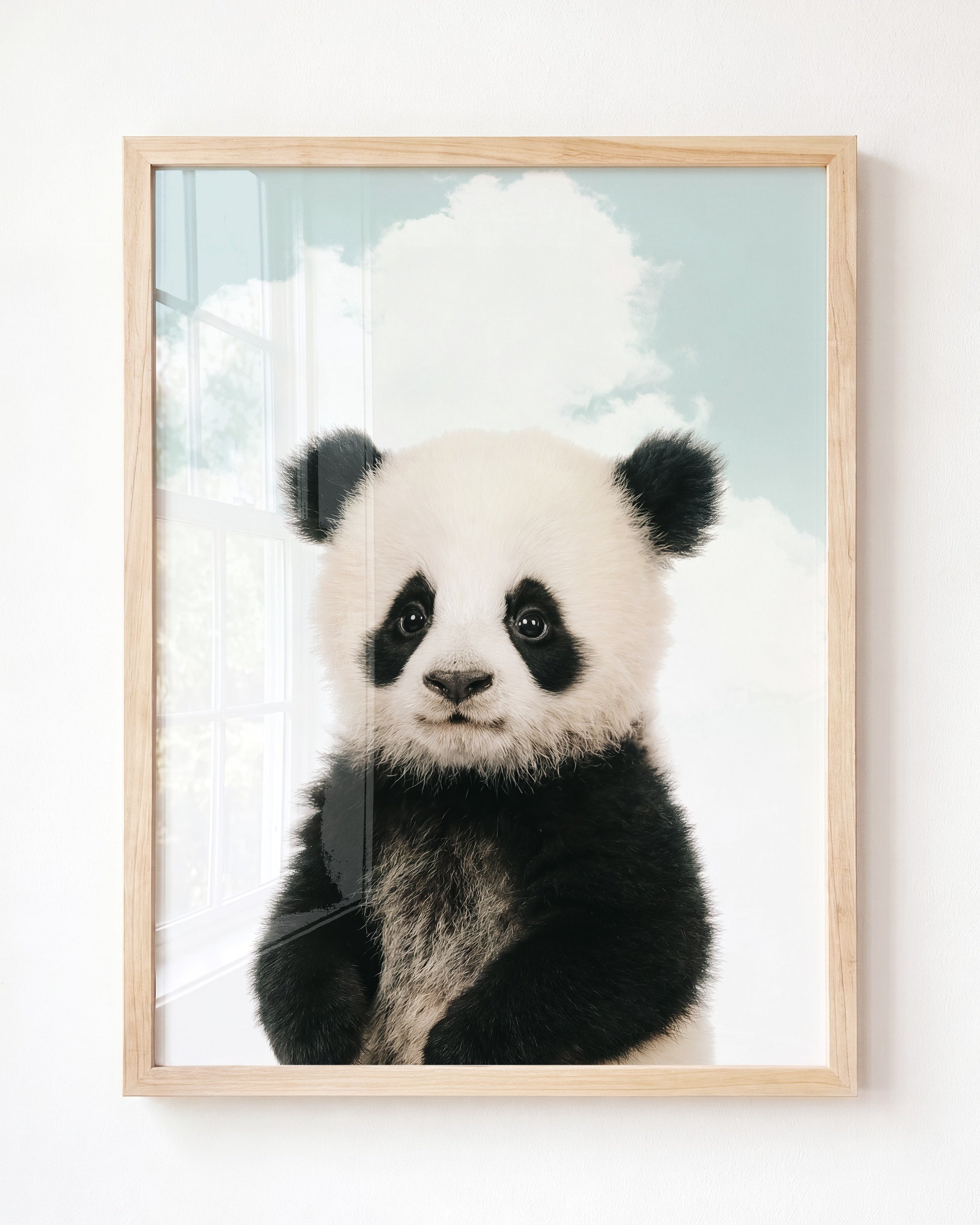 Baby Panda
