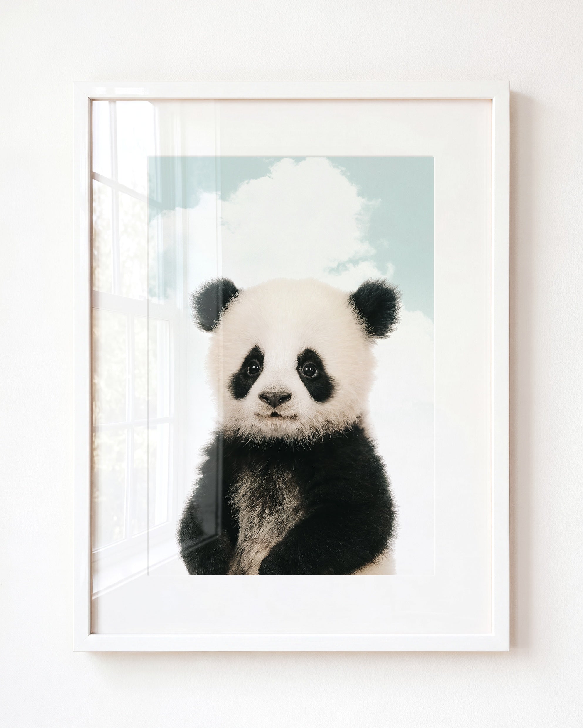 Baby Panda