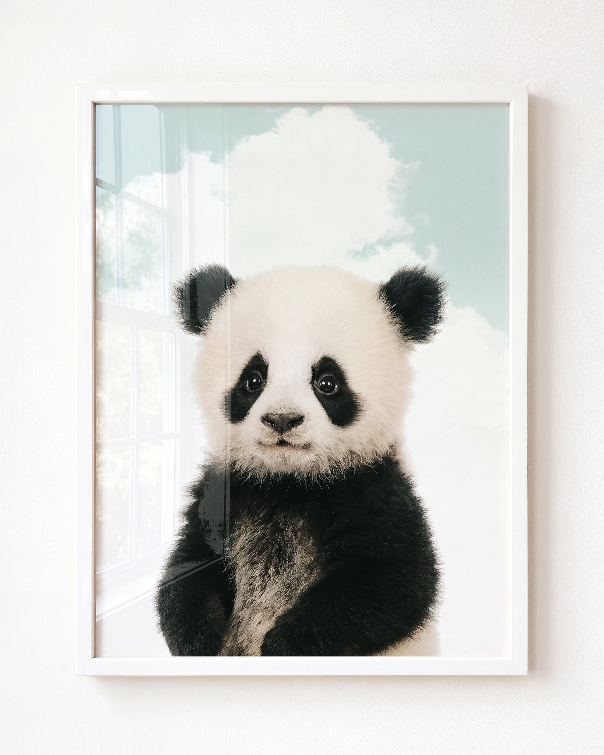 Baby Panda
