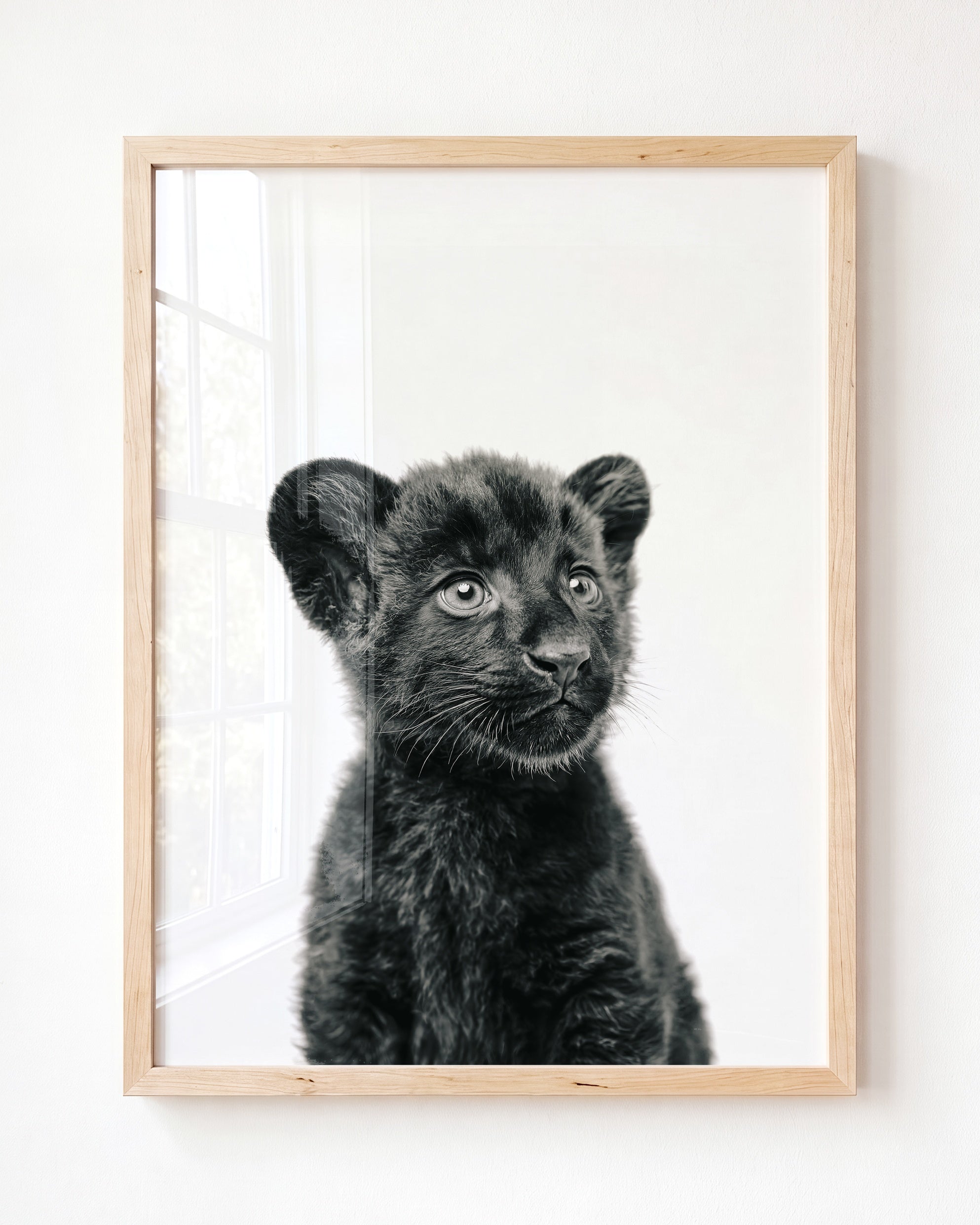 Baby Panther