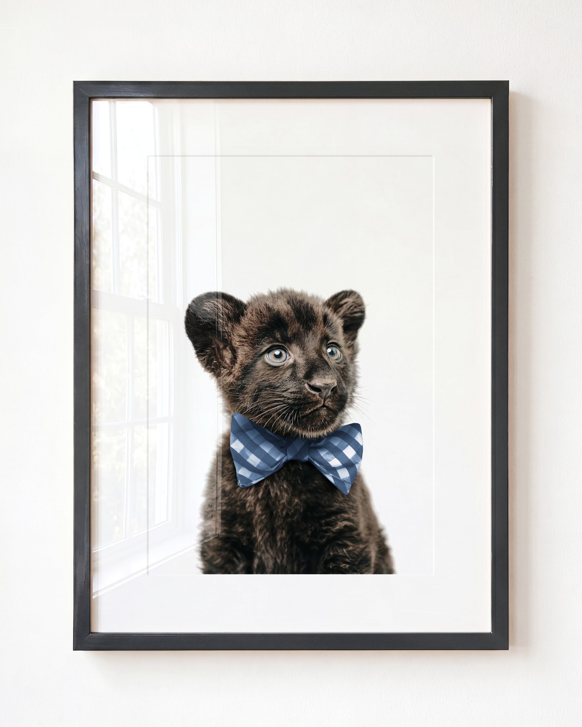Baby Panther