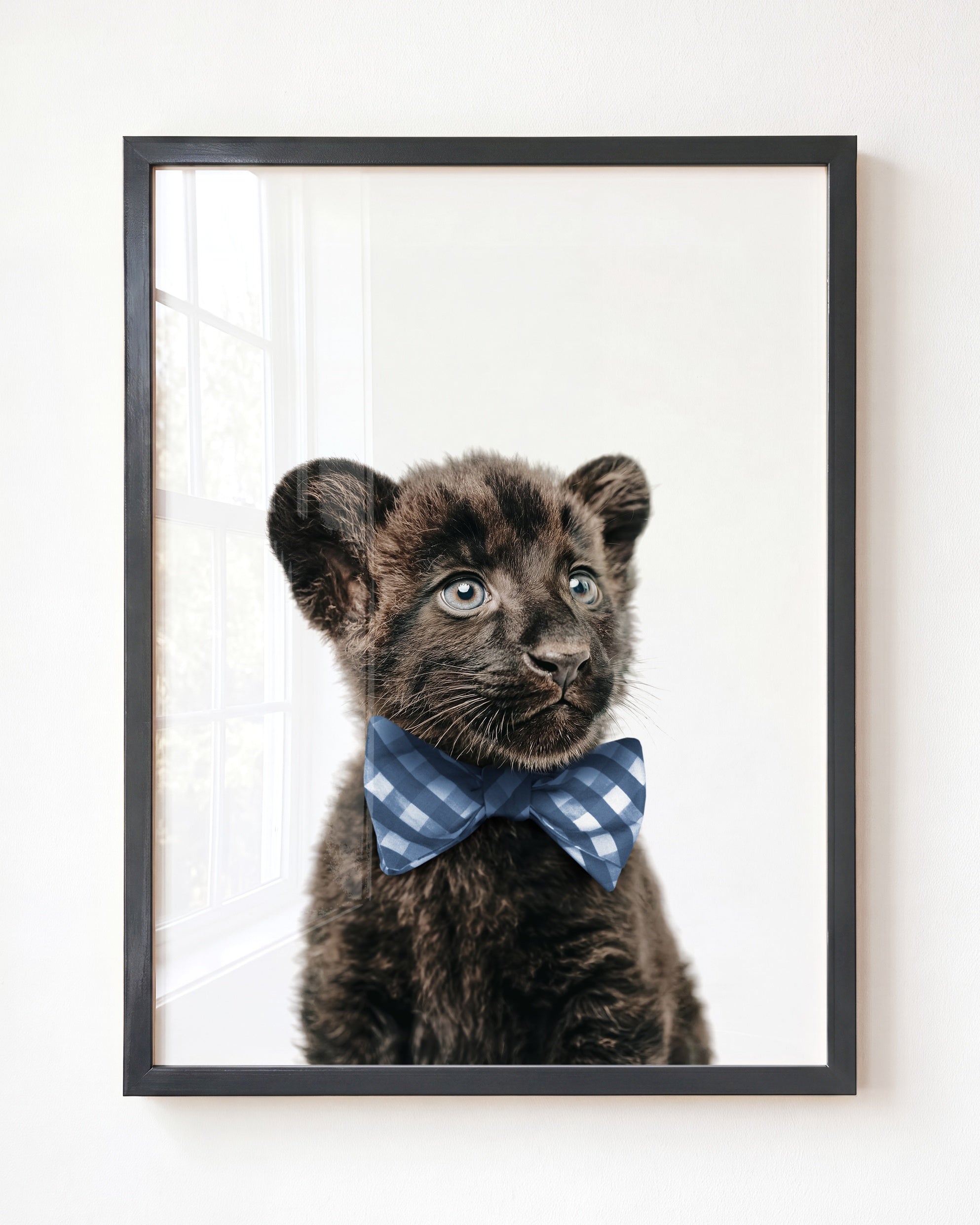 Baby Panther