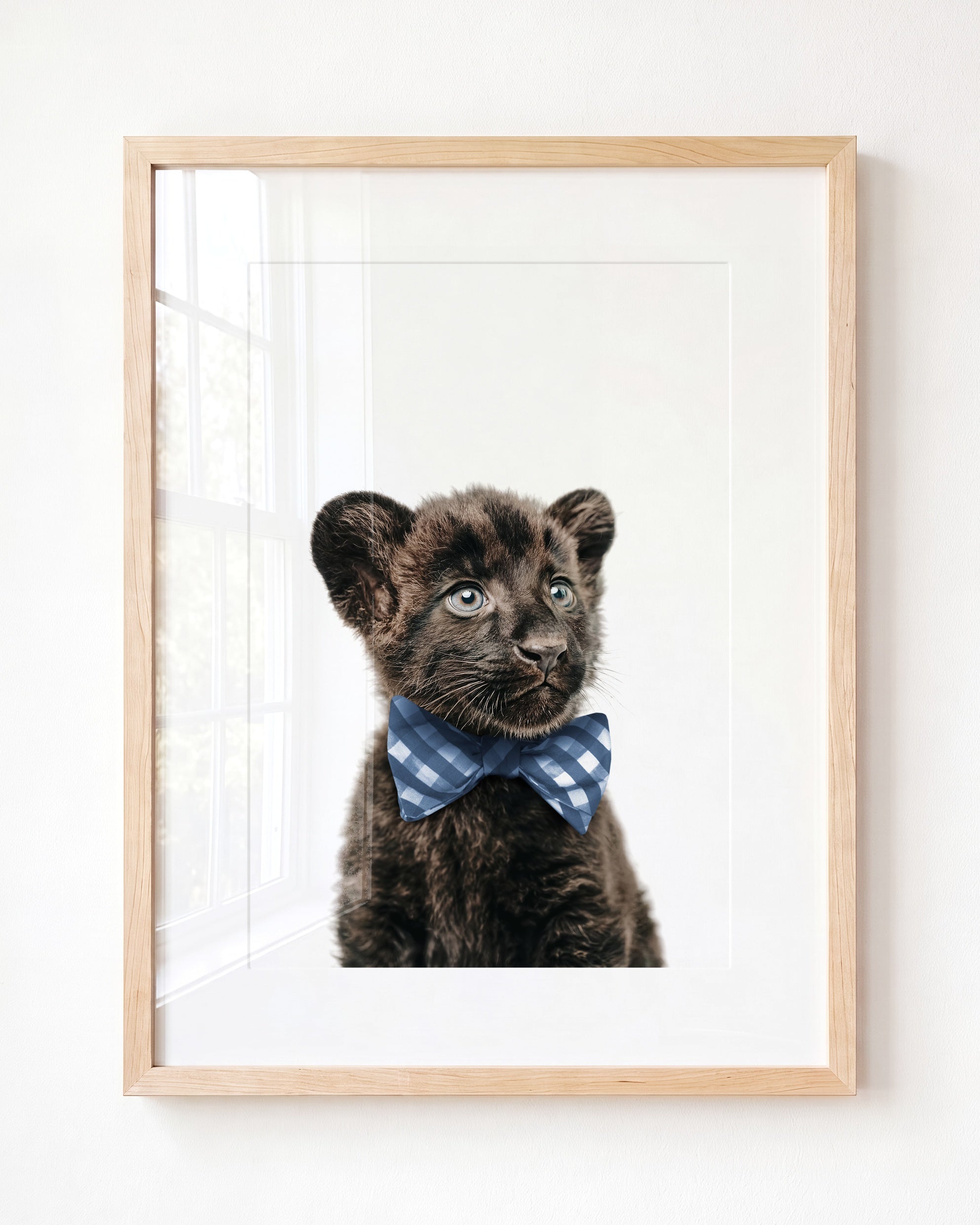 Baby Panther