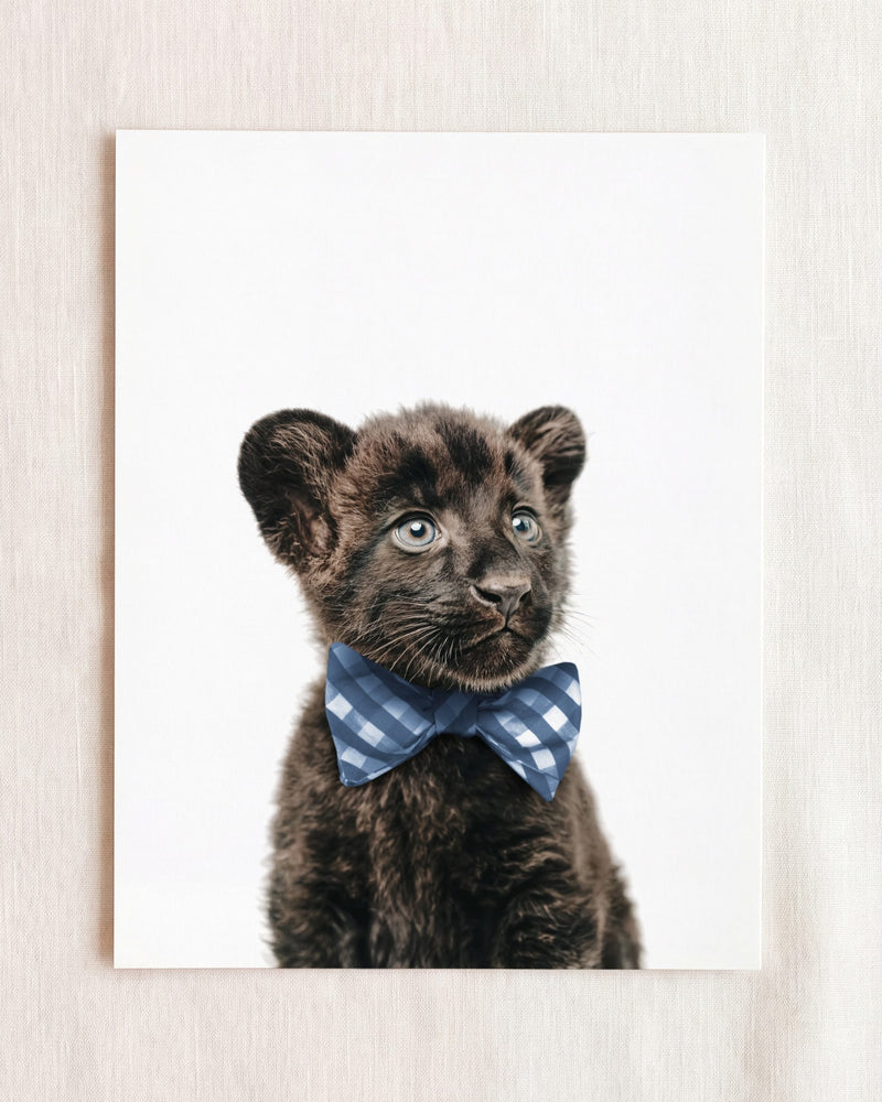 Bow Tie Cornflower