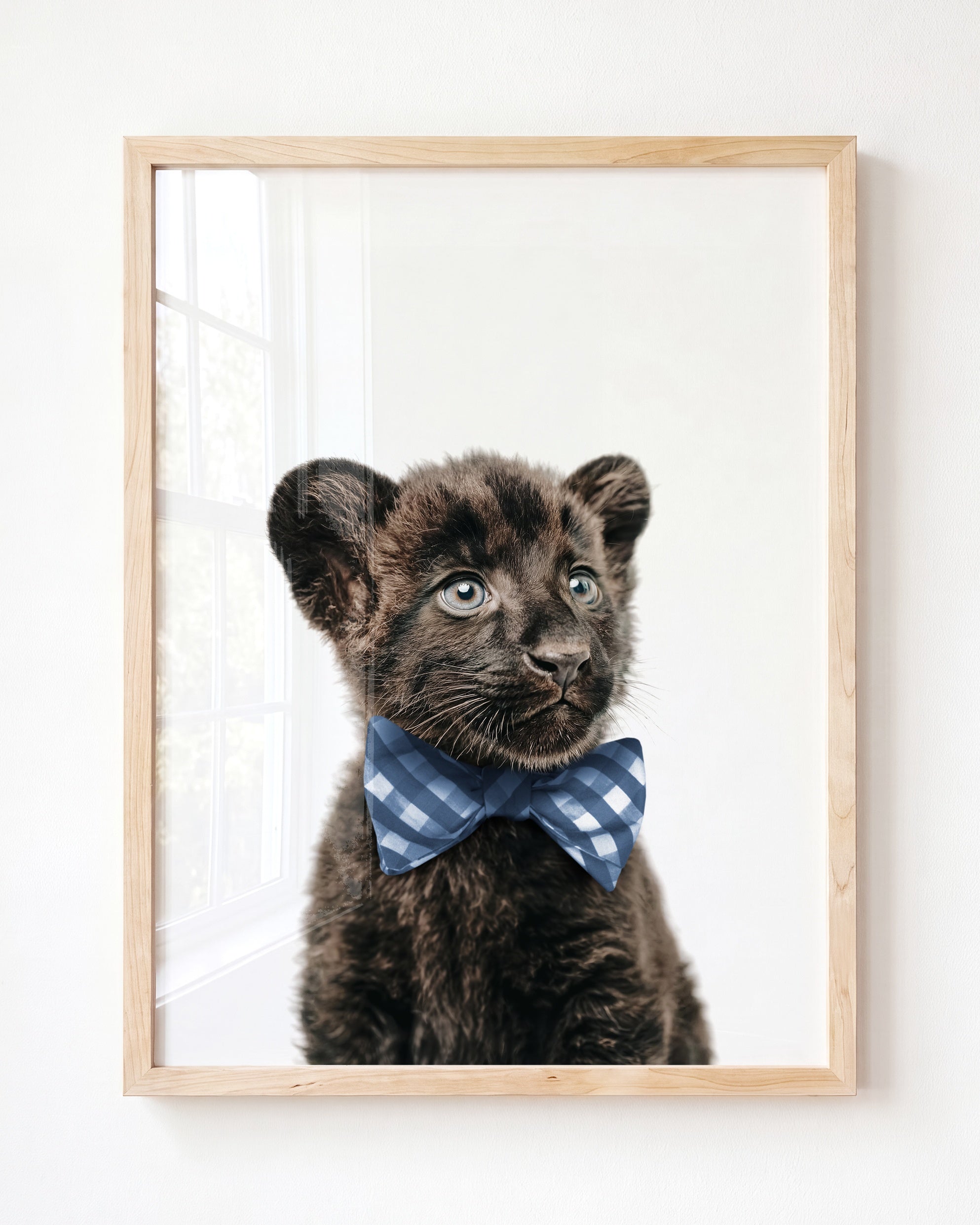 Baby Panther