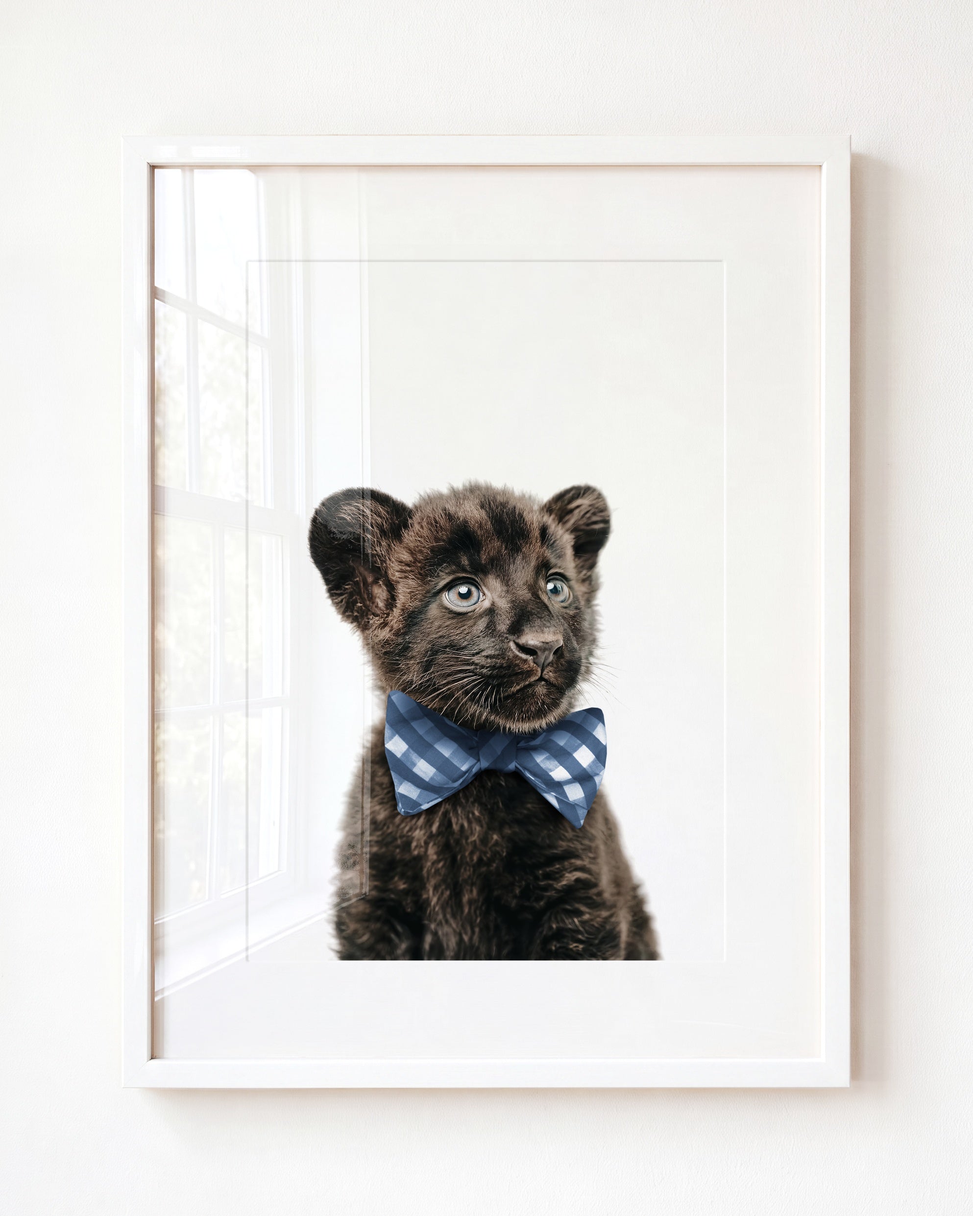 Baby Panther