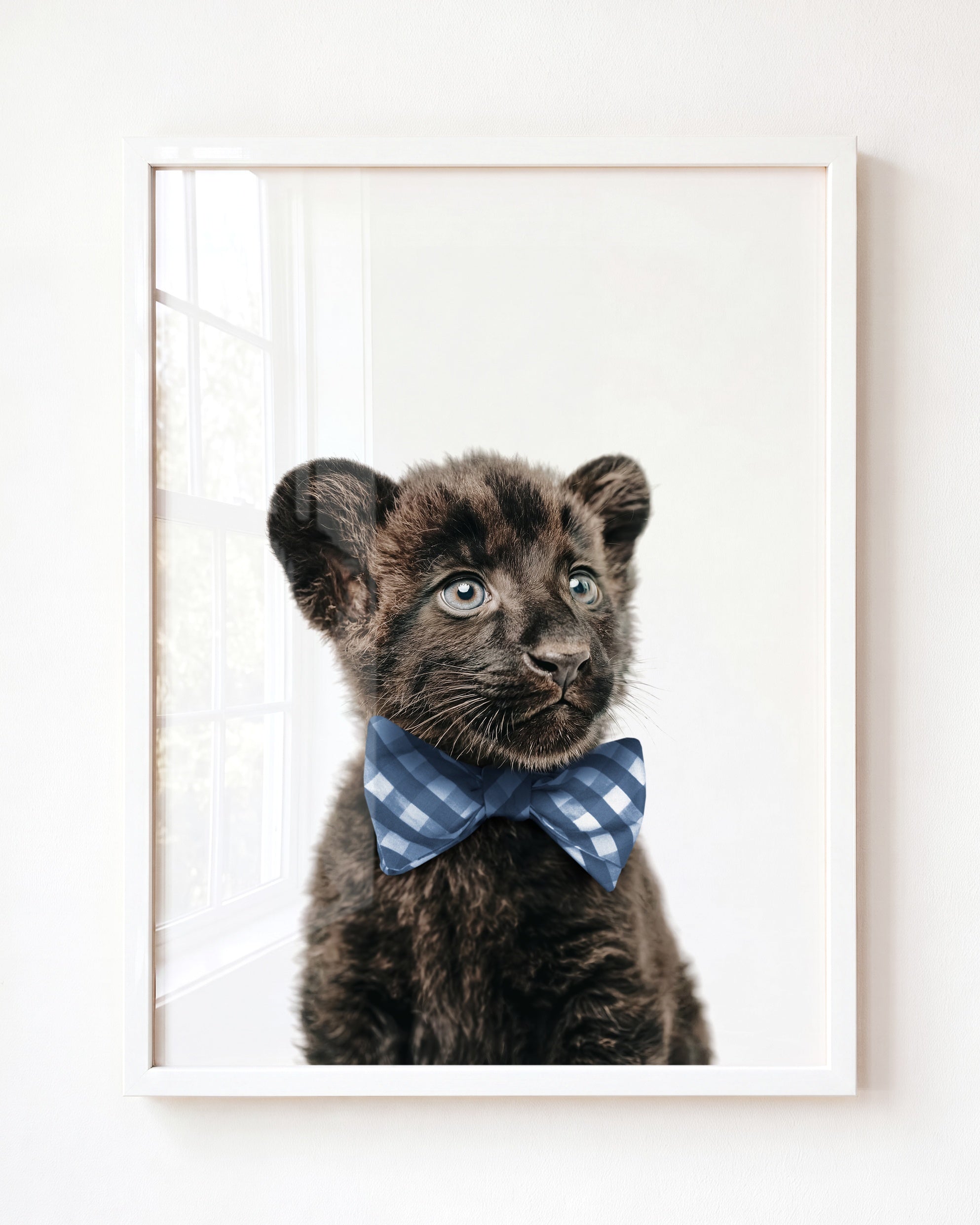 Baby Panther