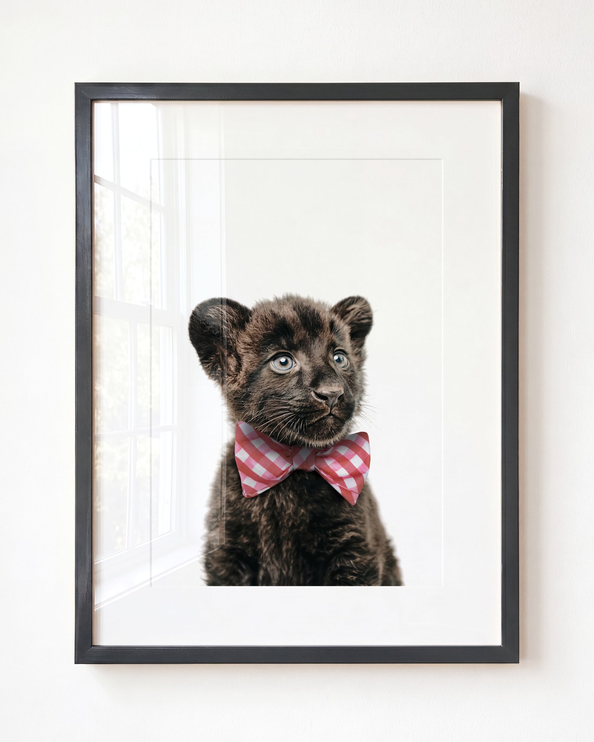 Baby Panther