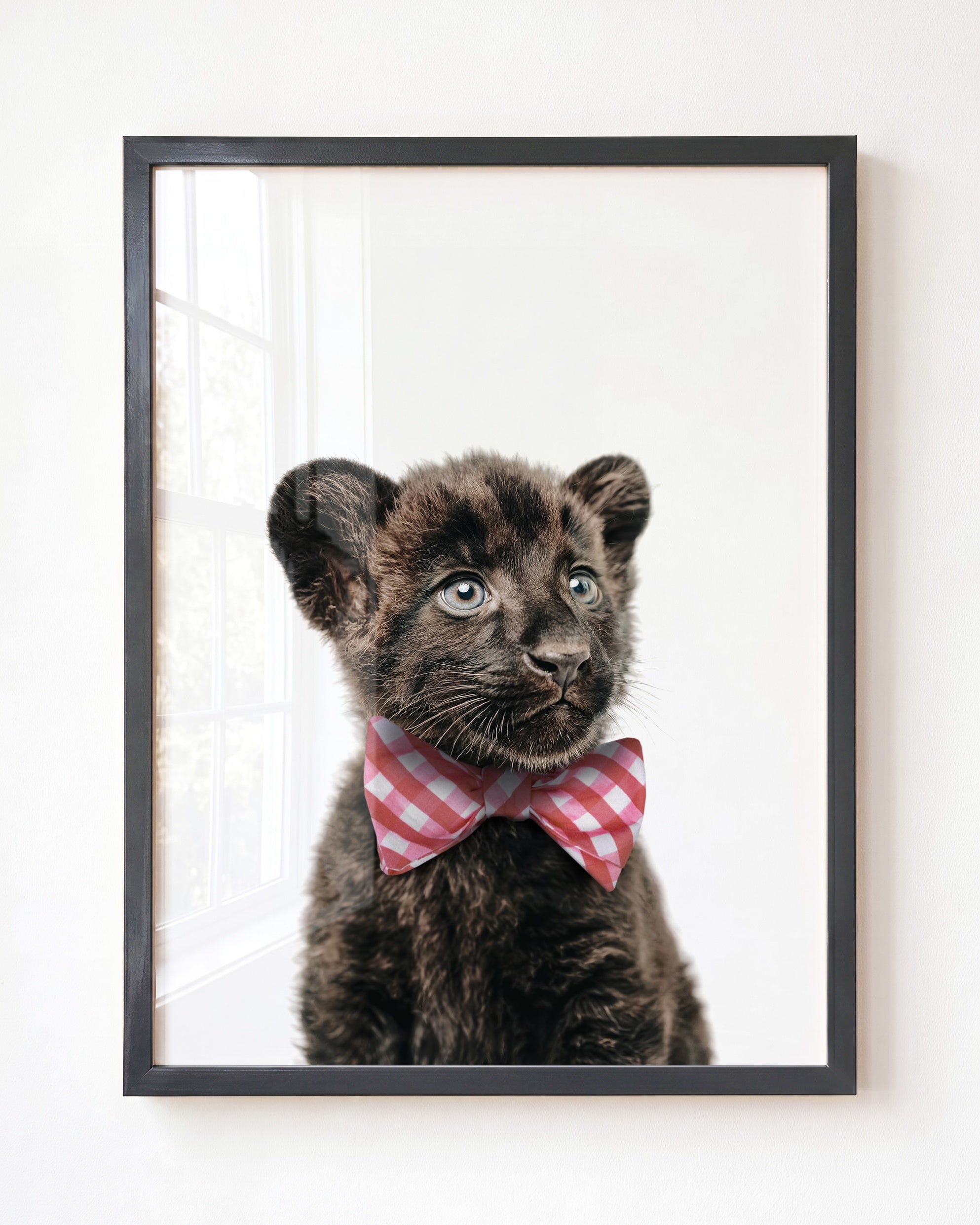 Baby Panther