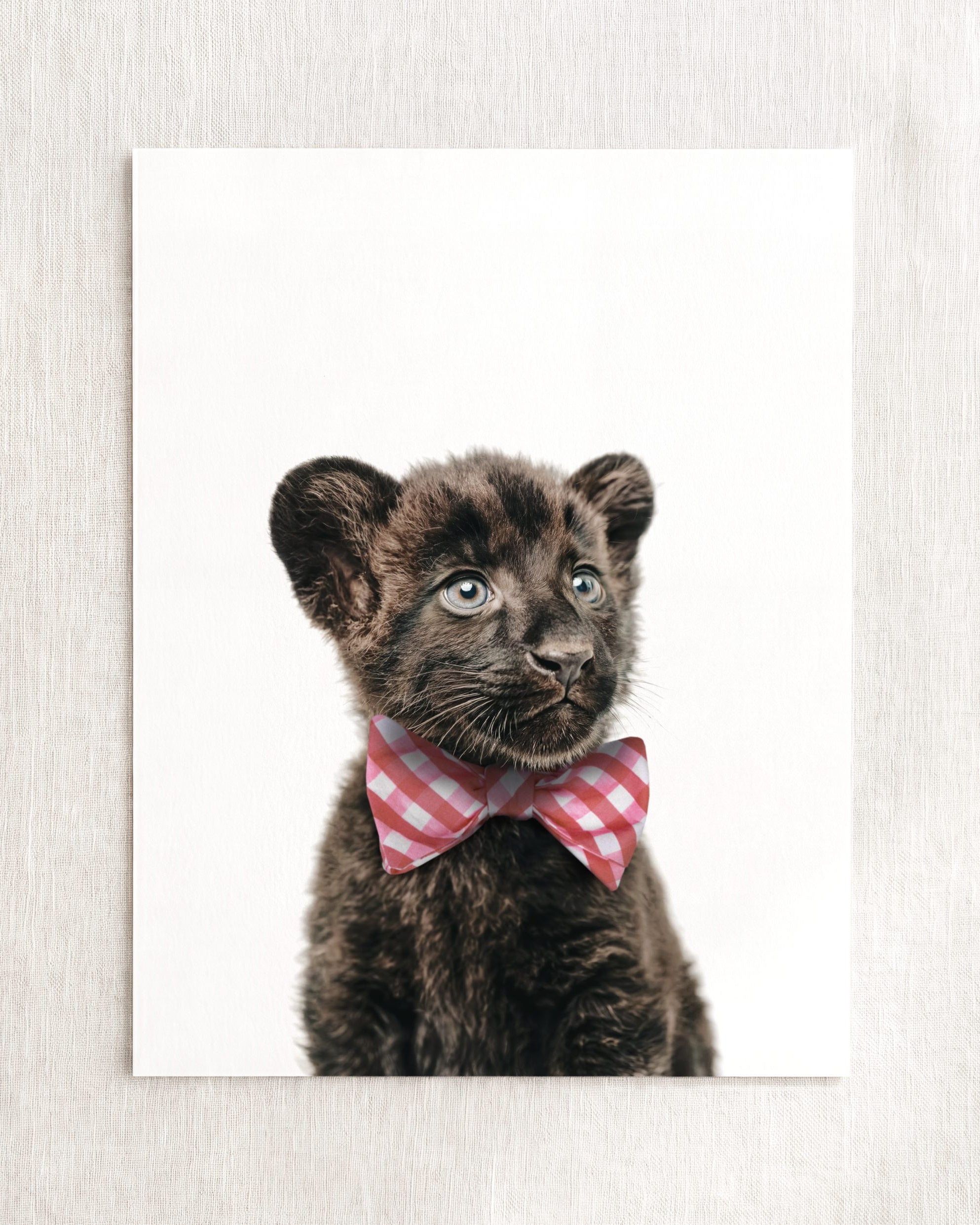 Baby Panther