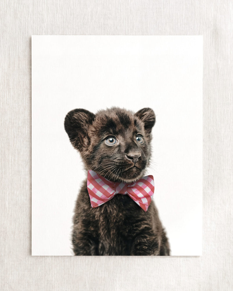 Bow Tie