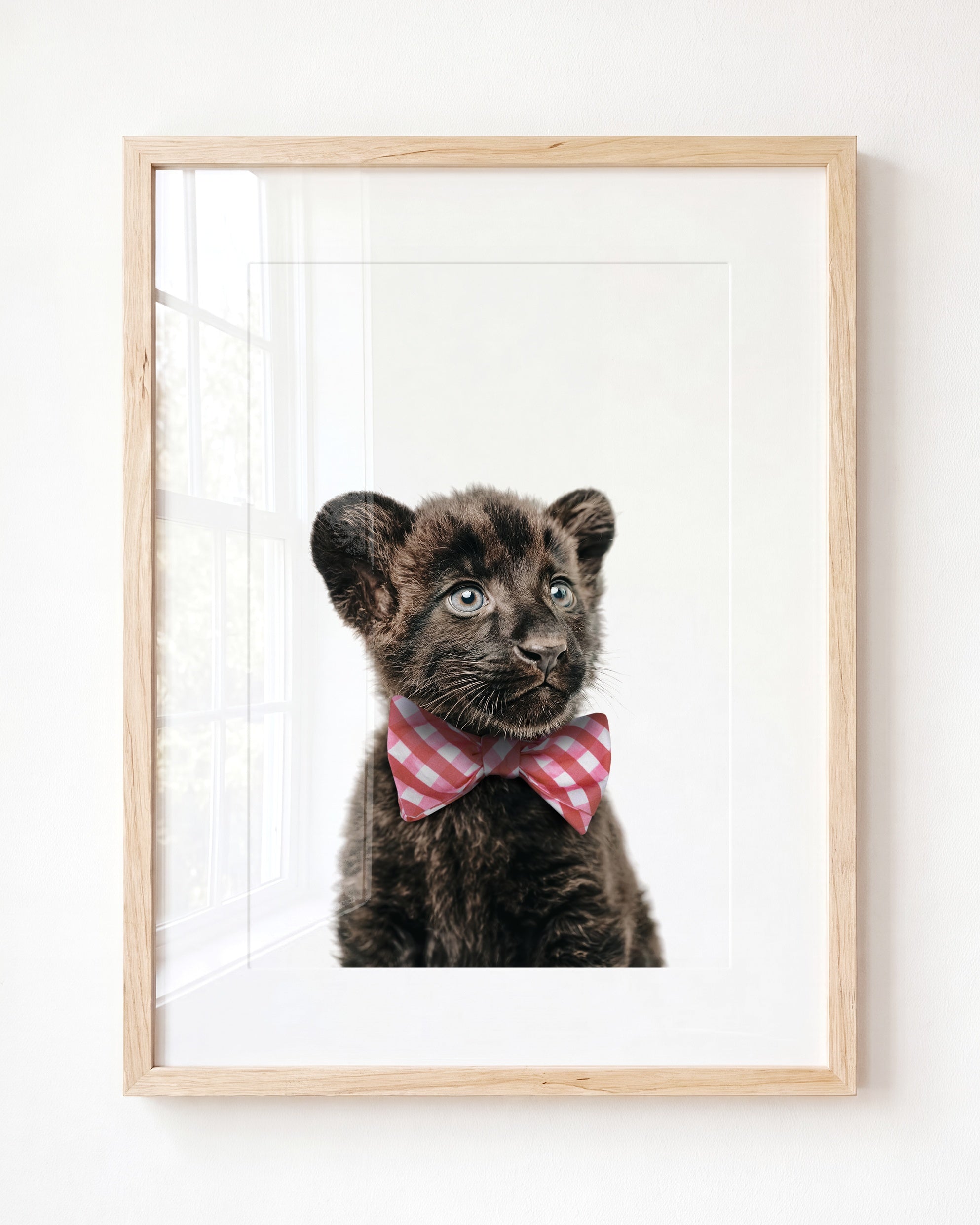 Baby Panther