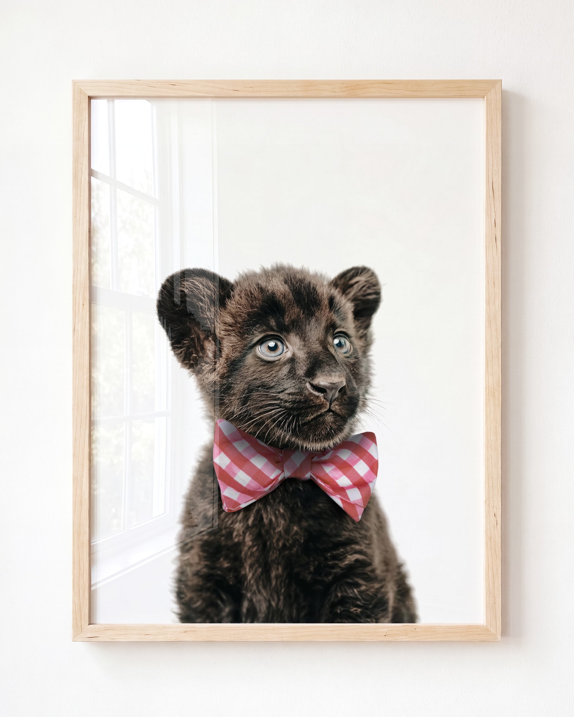 Baby Panther
