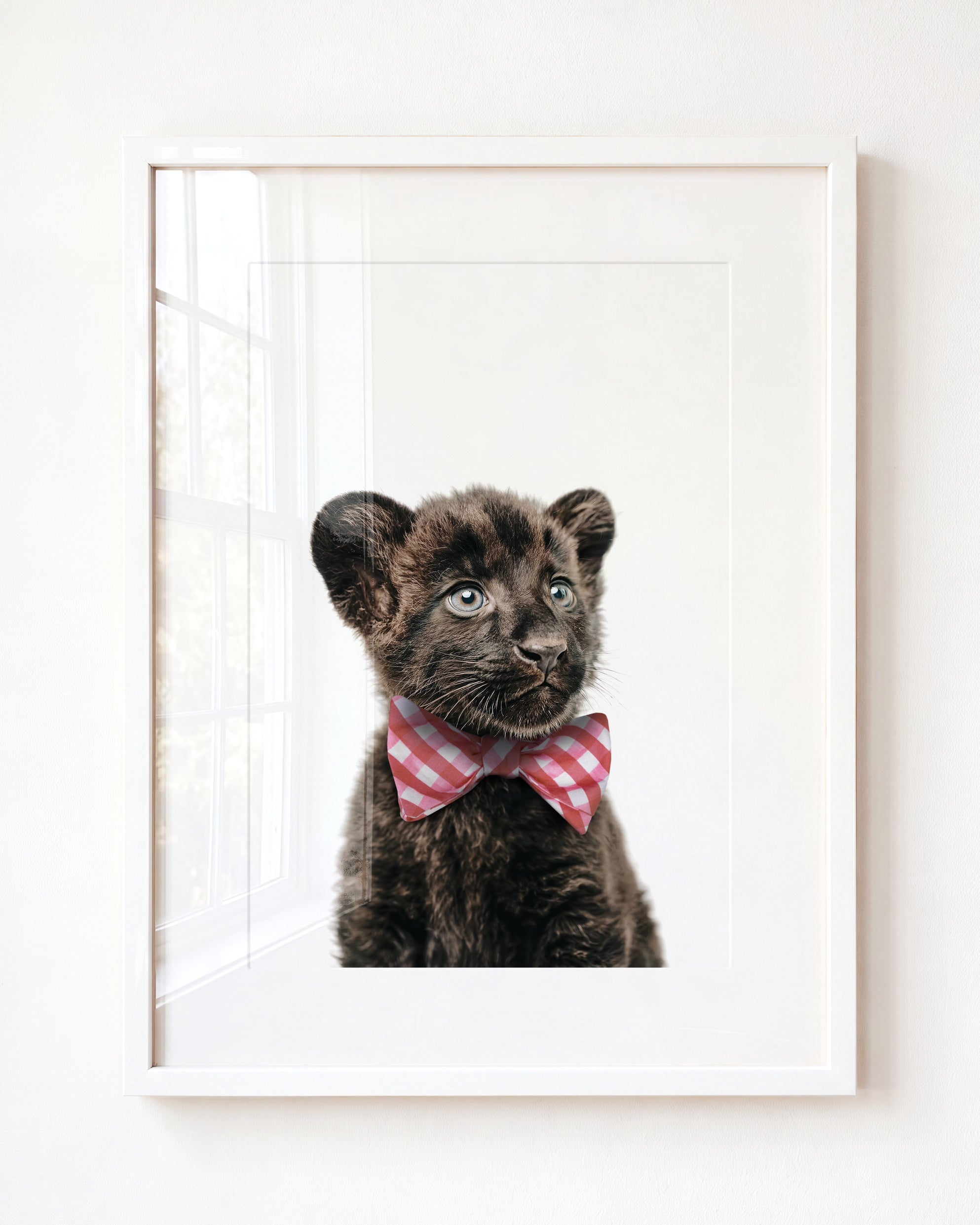 Baby Panther