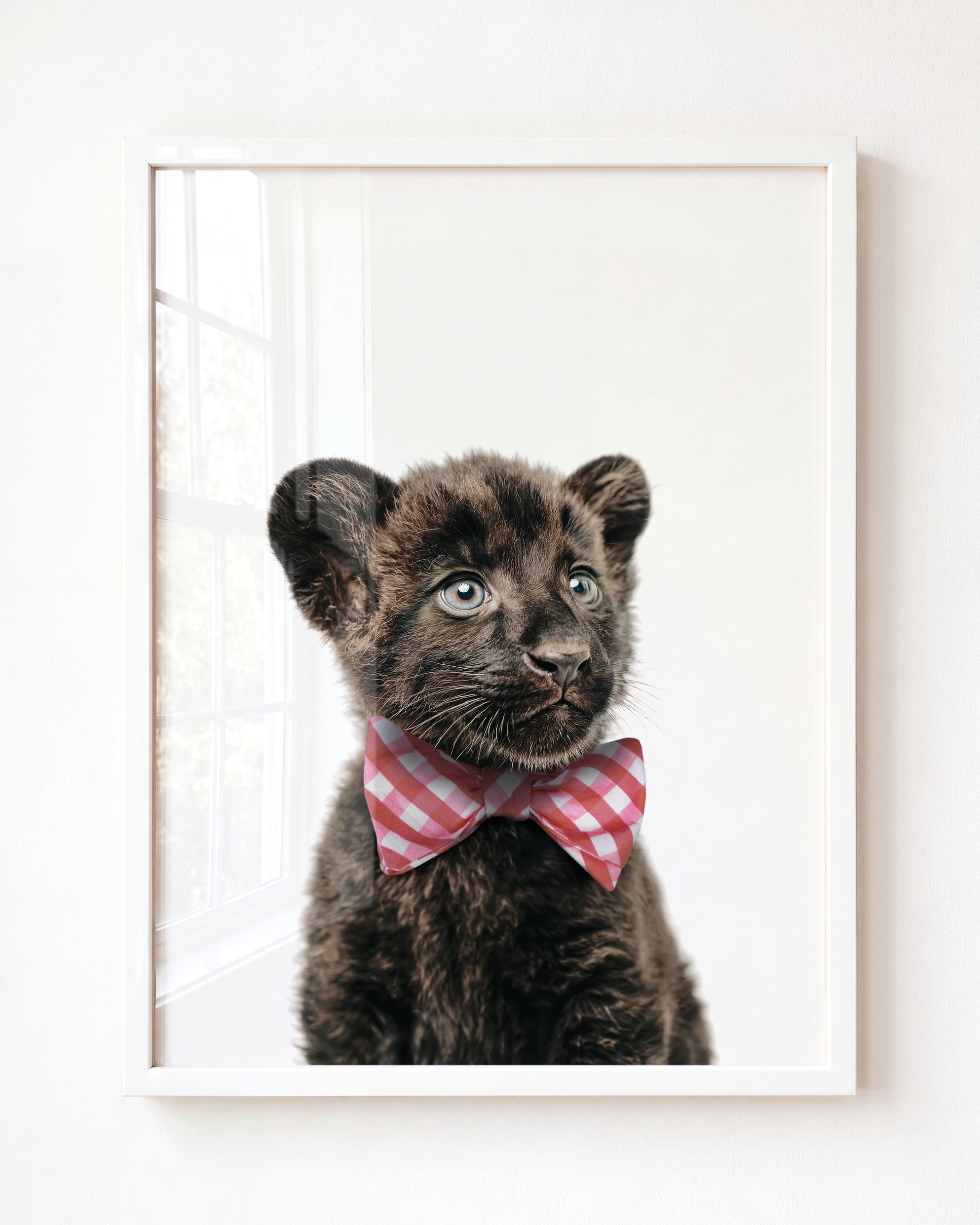 Baby Panther