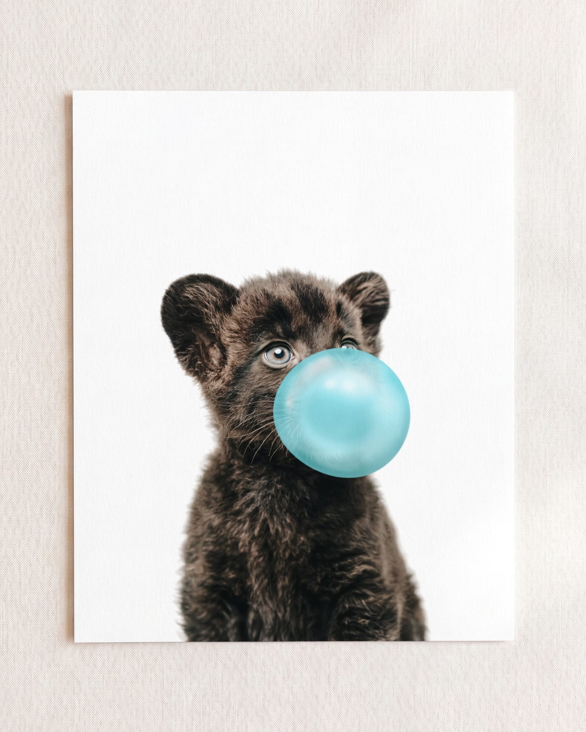 Baby Panther