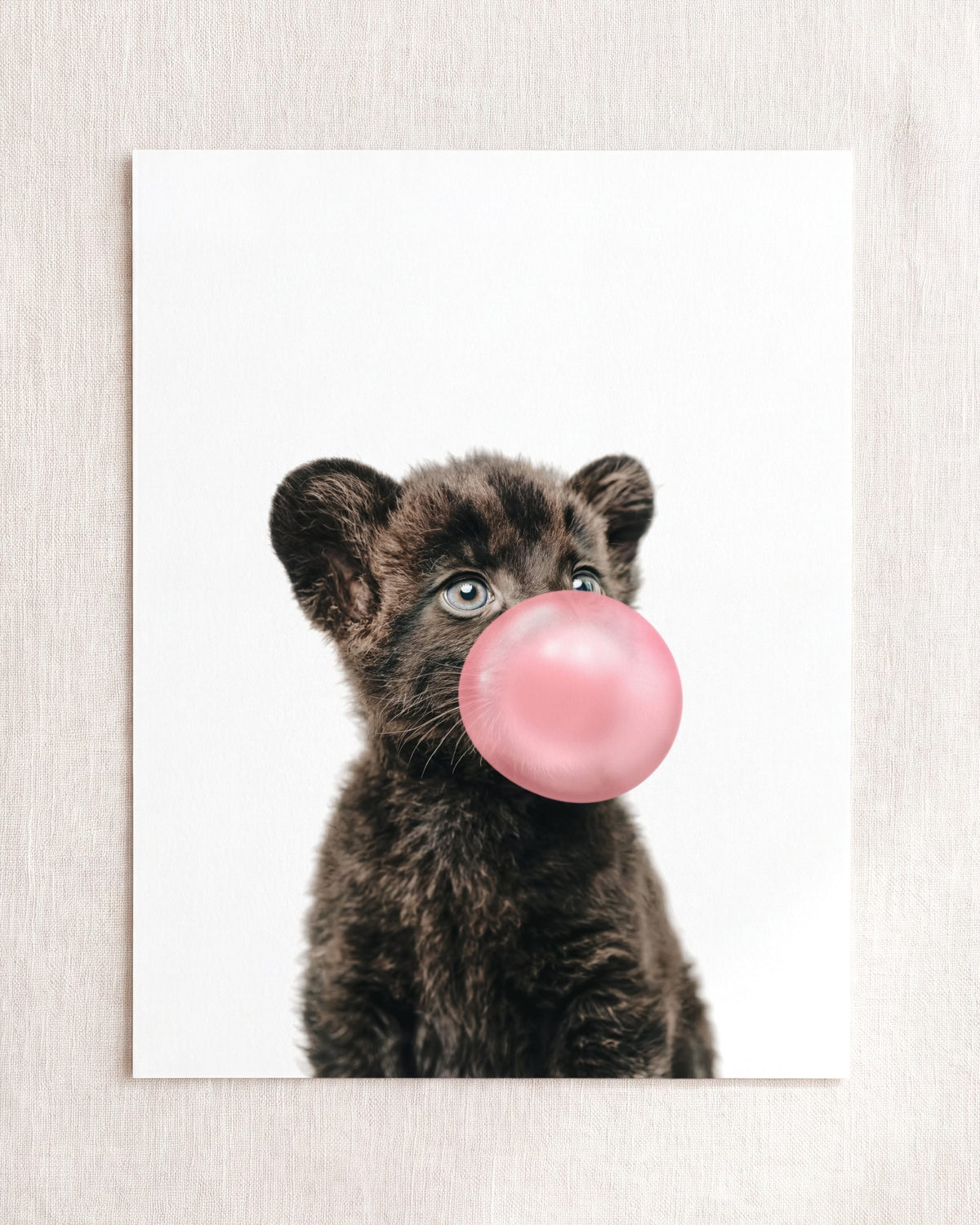 Baby Panther