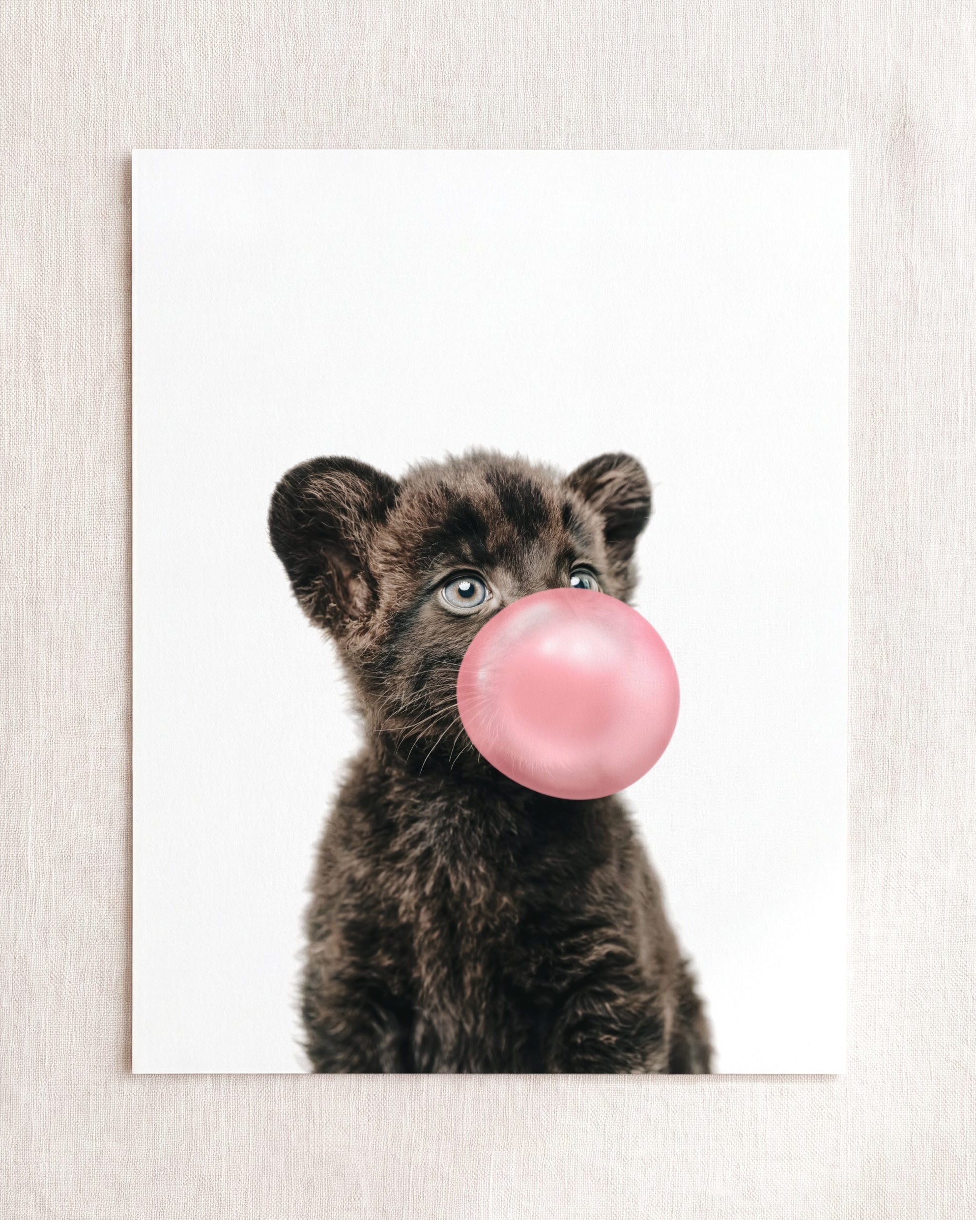 Baby Panther
