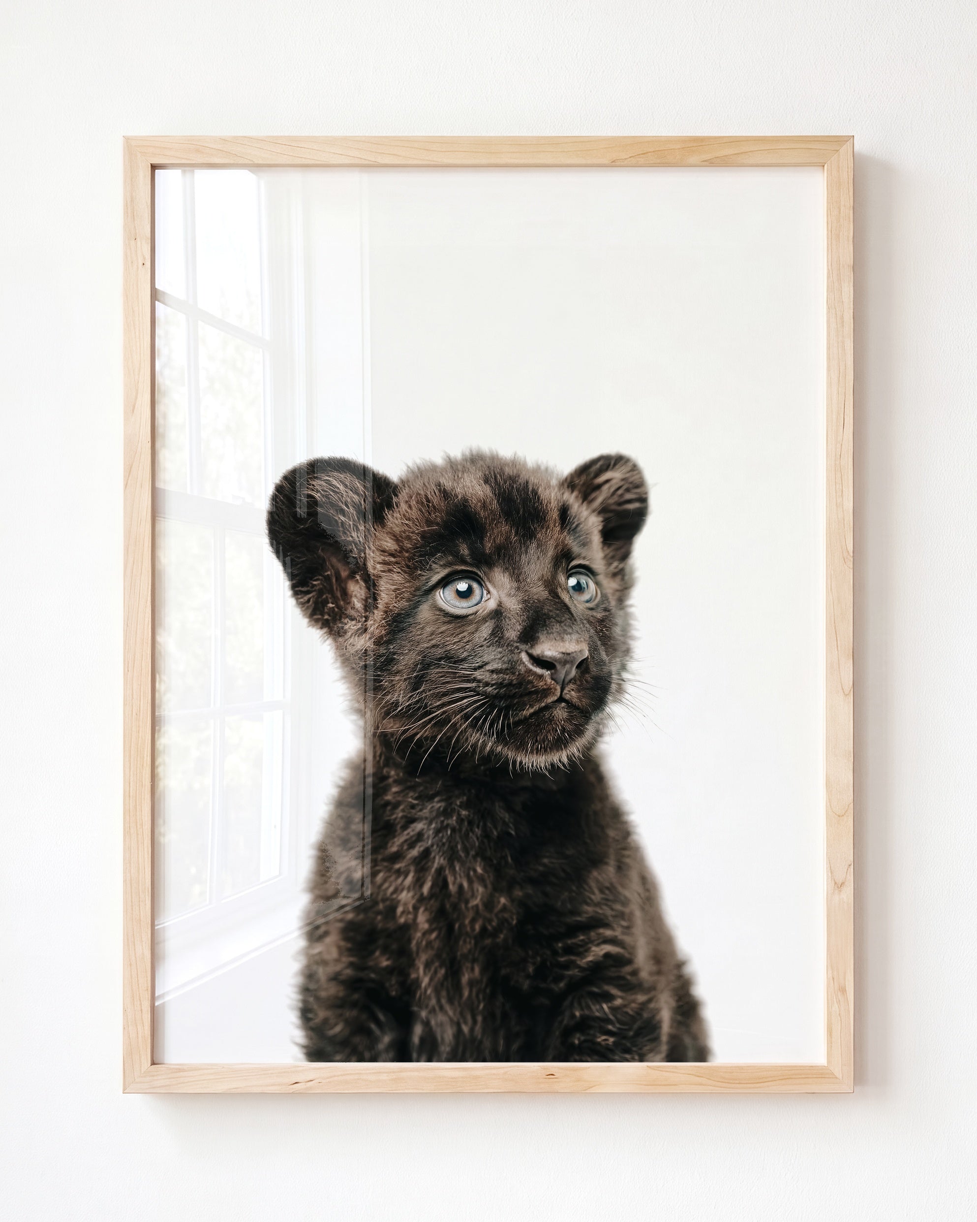 Baby Panther