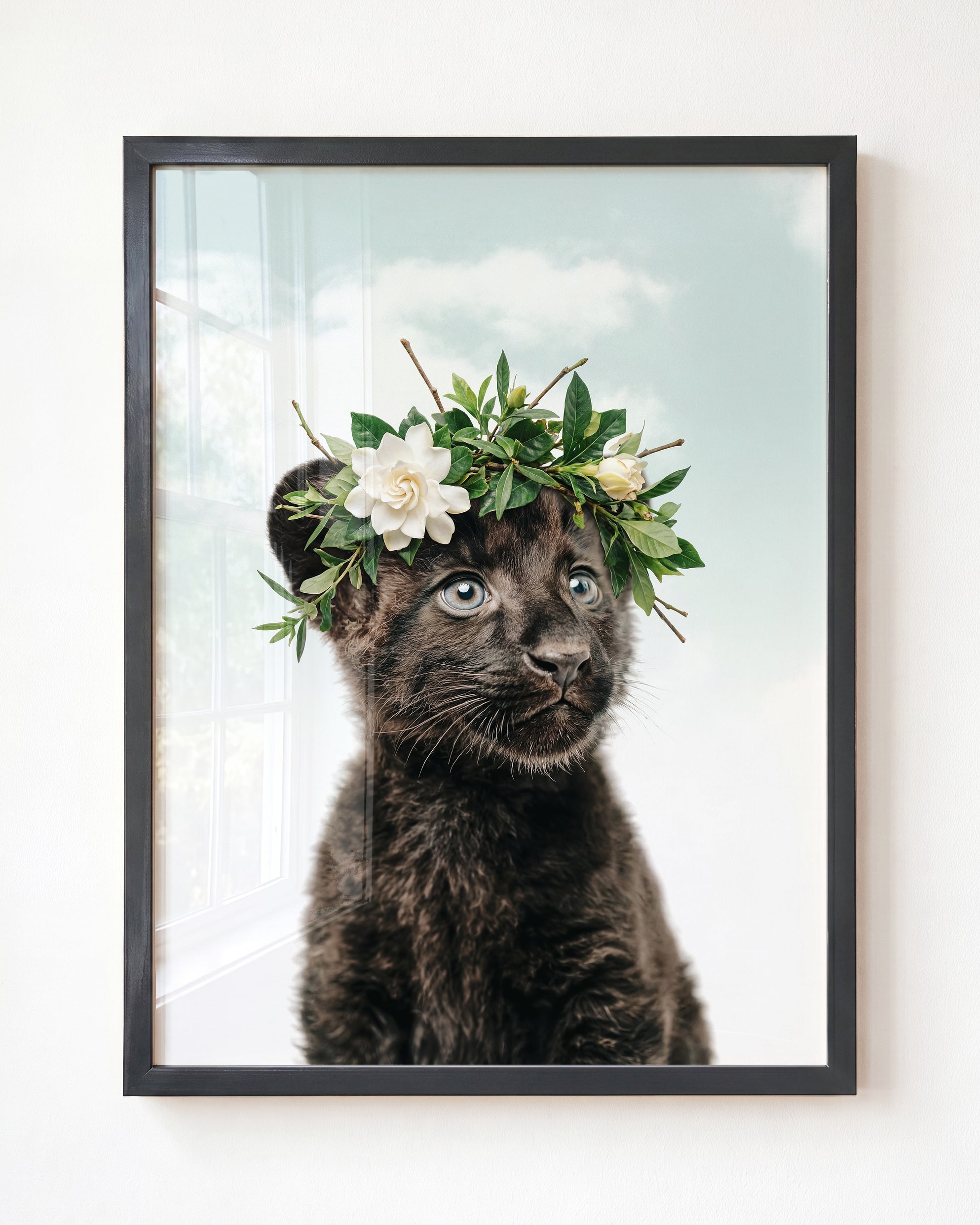 Baby Panther