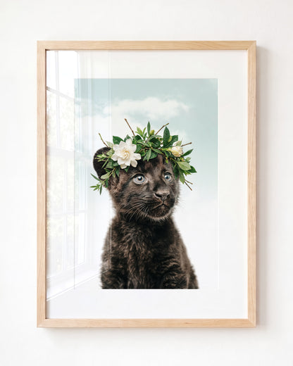 Baby Panther