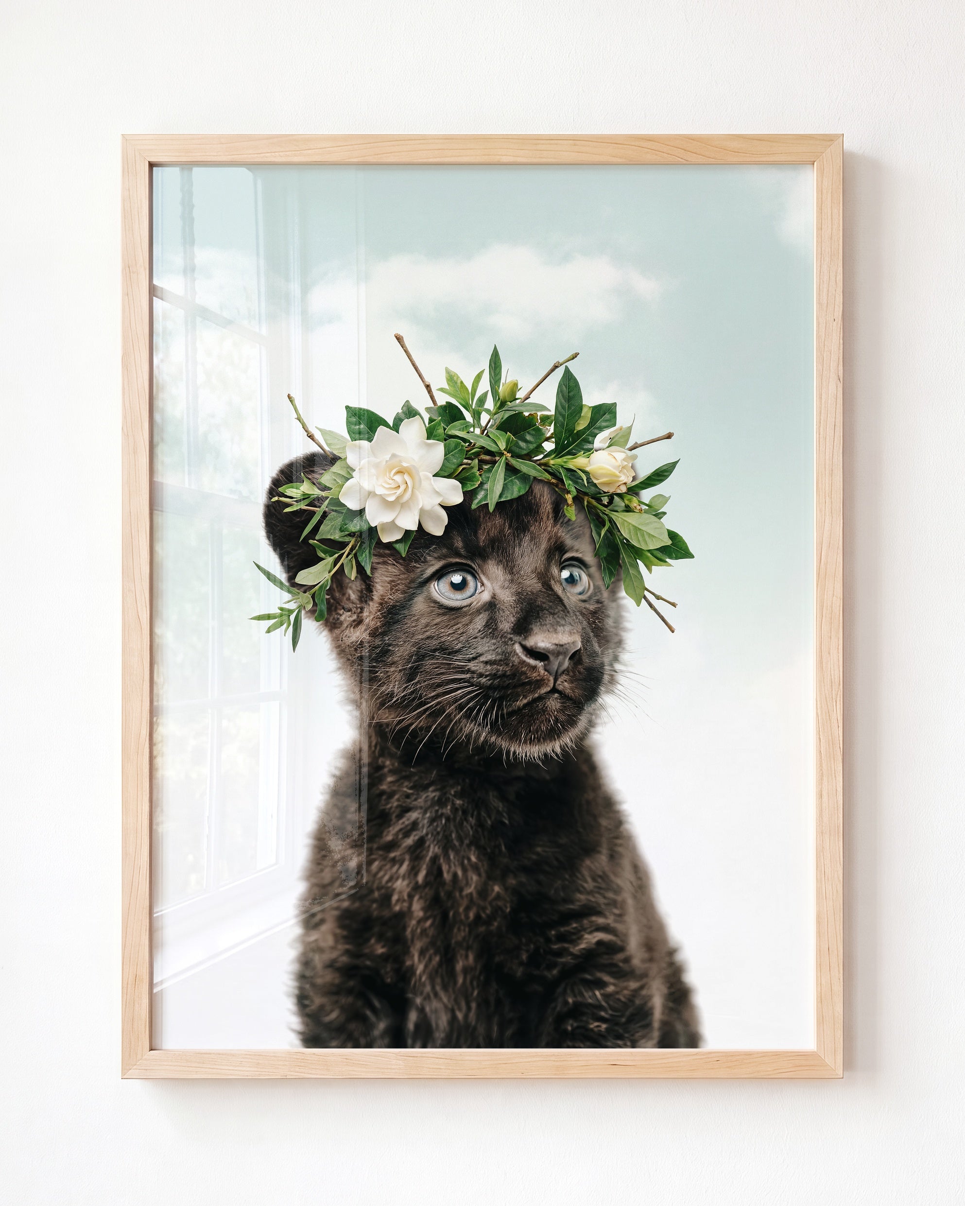 Baby Panther