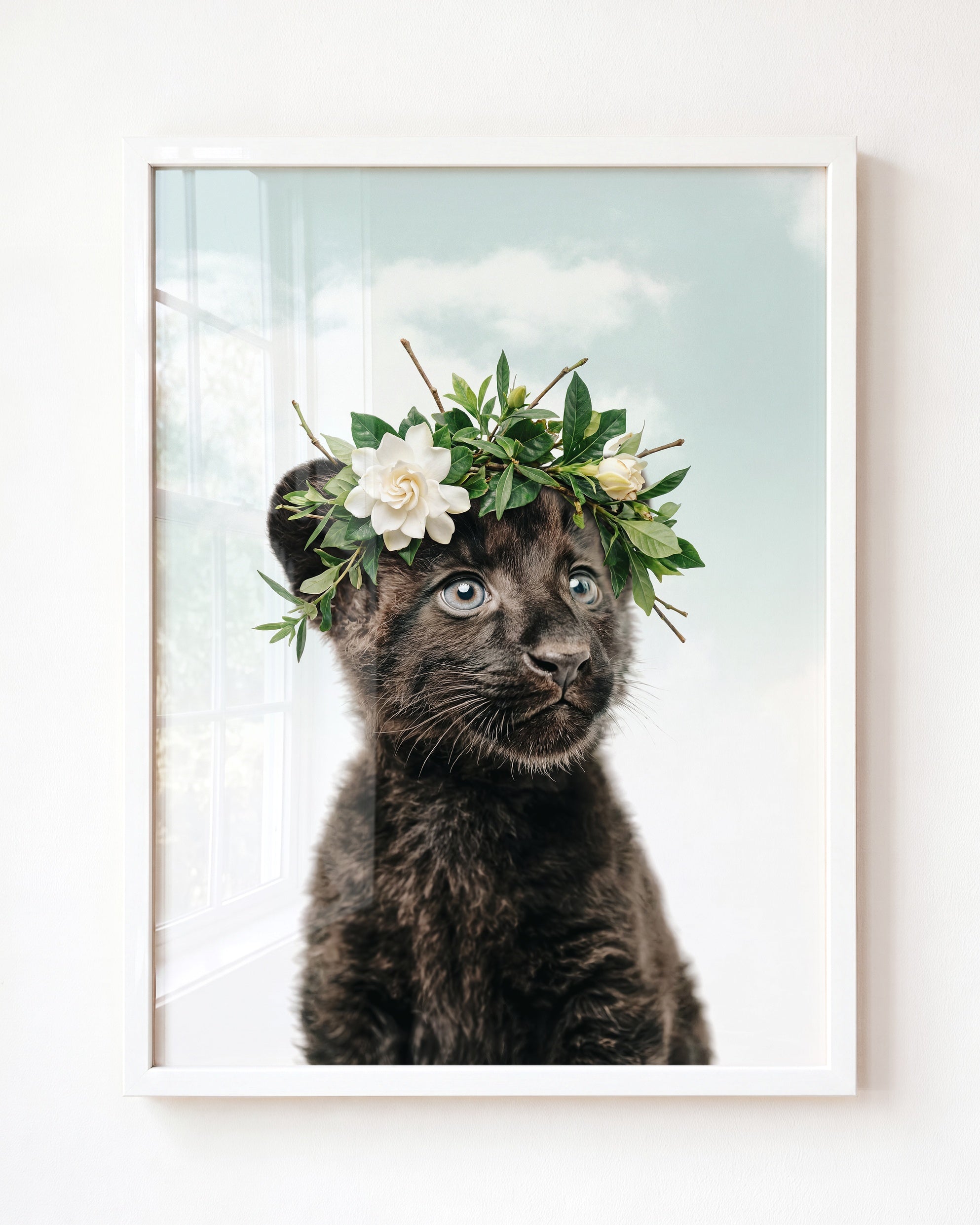 Baby Panther