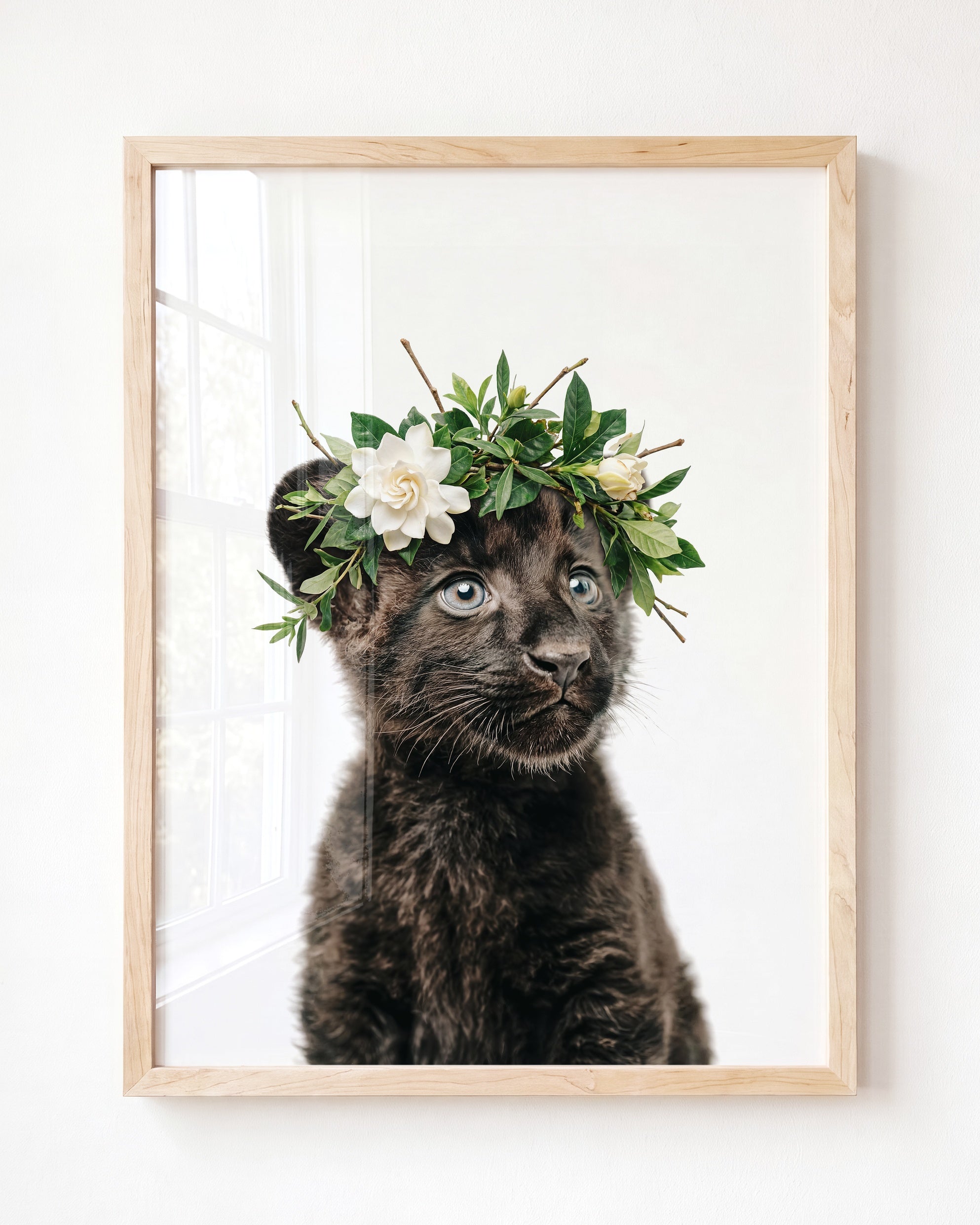 Baby Panther