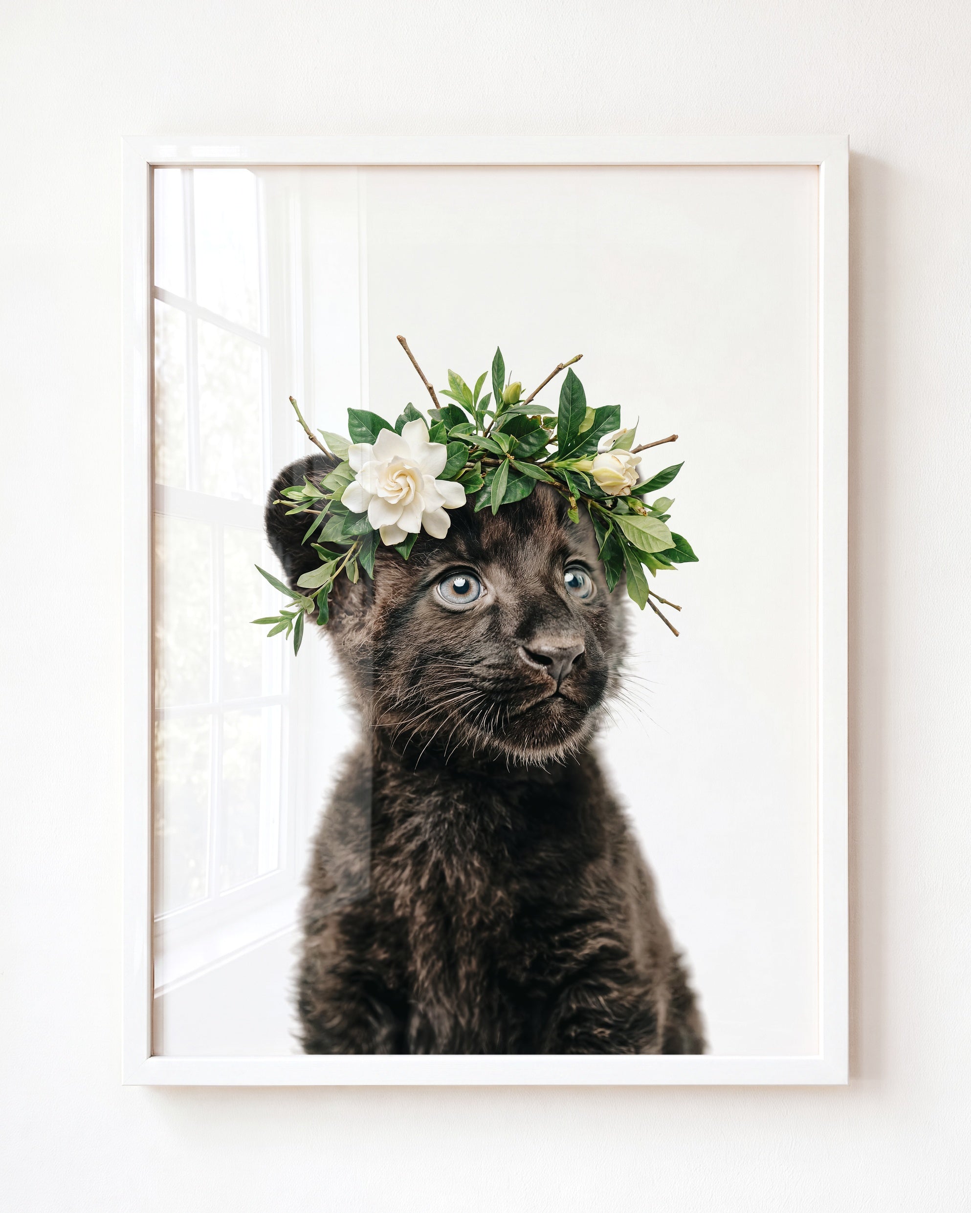 Baby Panther