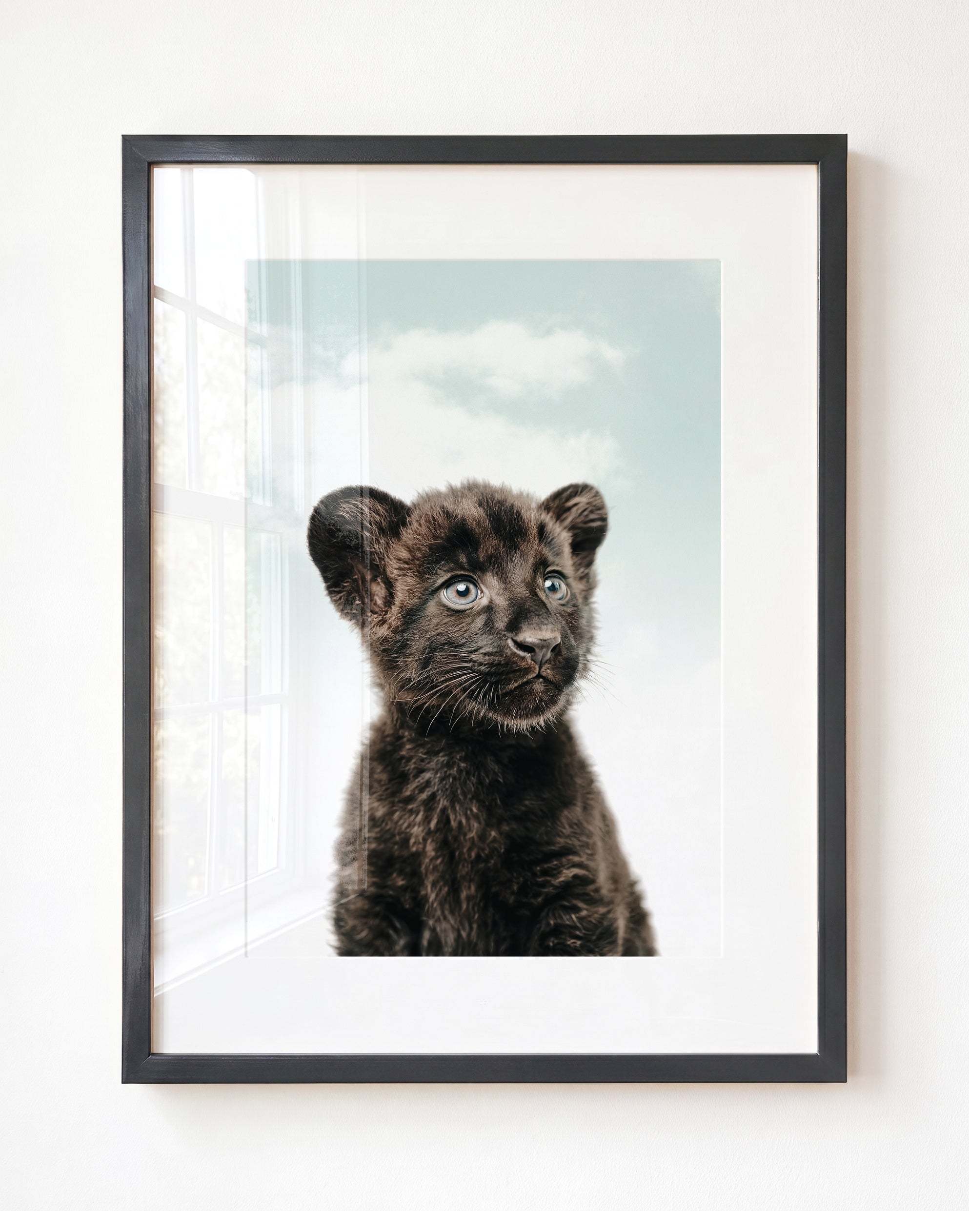 Baby Panther
