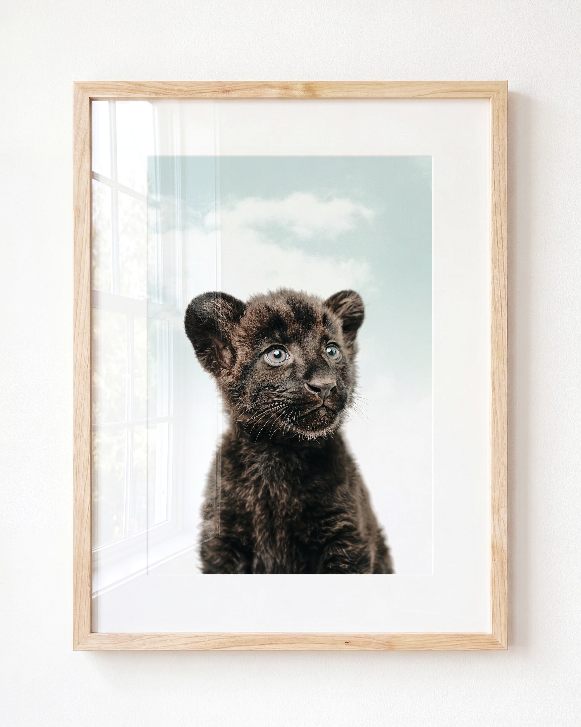 Baby Panther