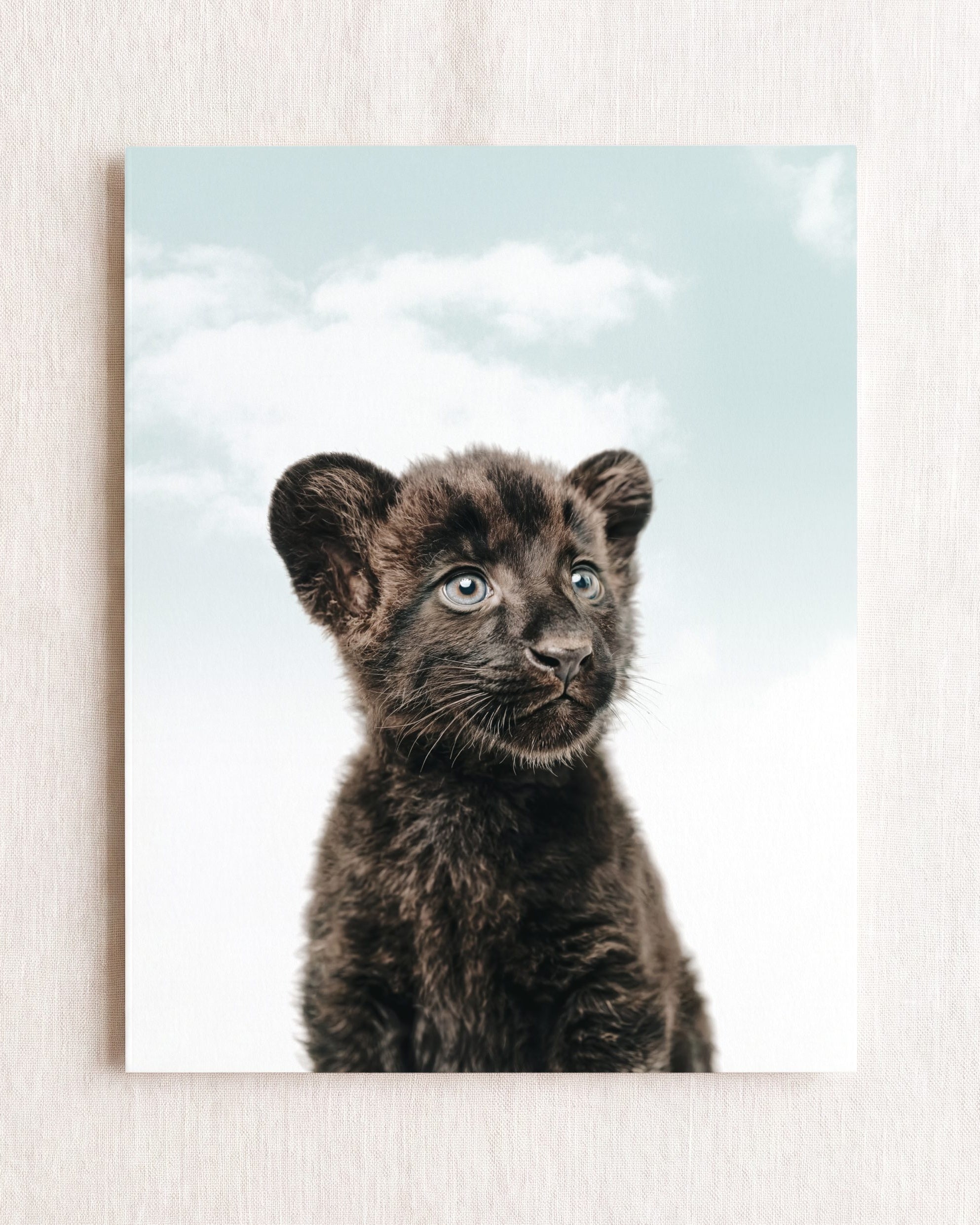 Baby Panther