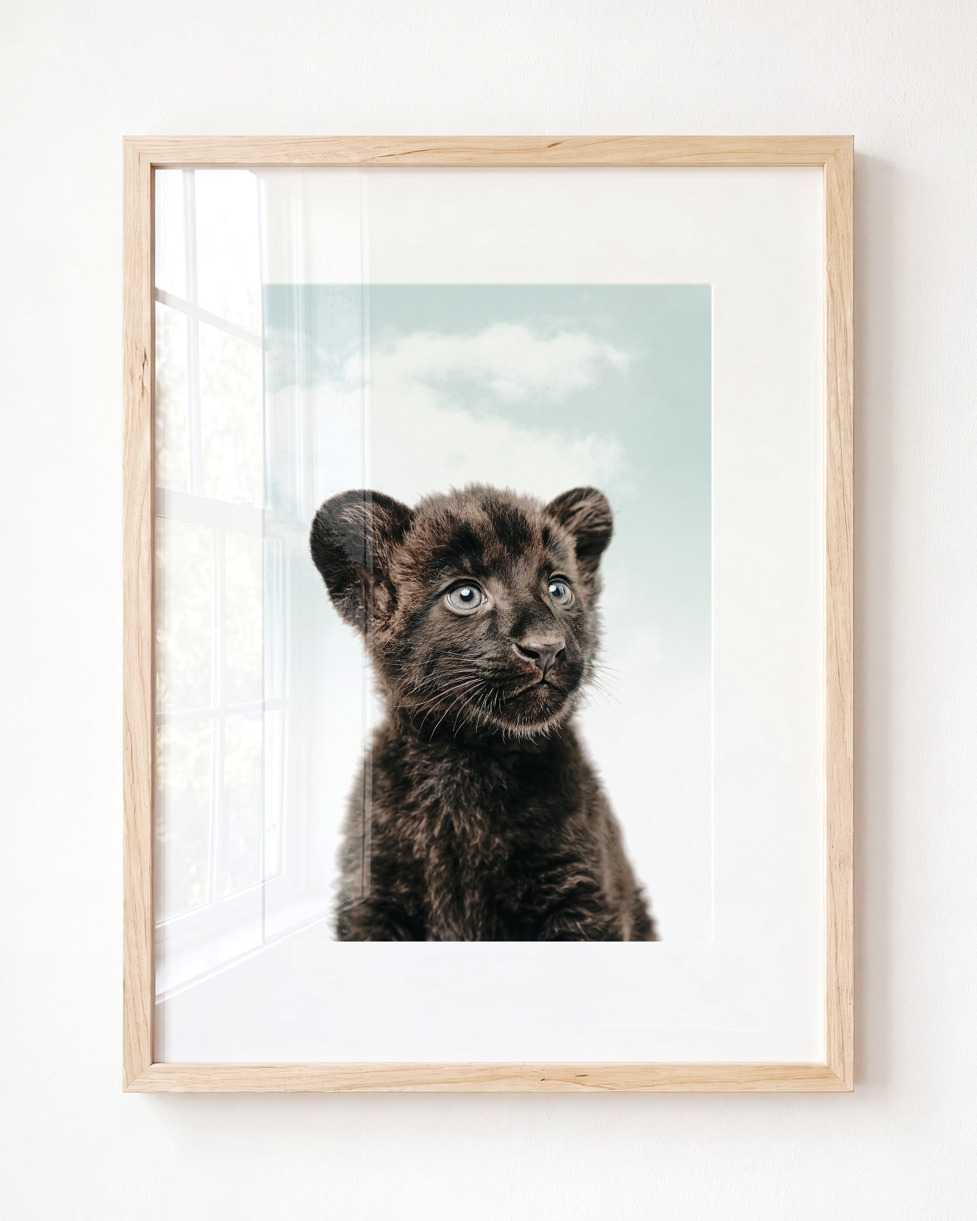 Baby Panther