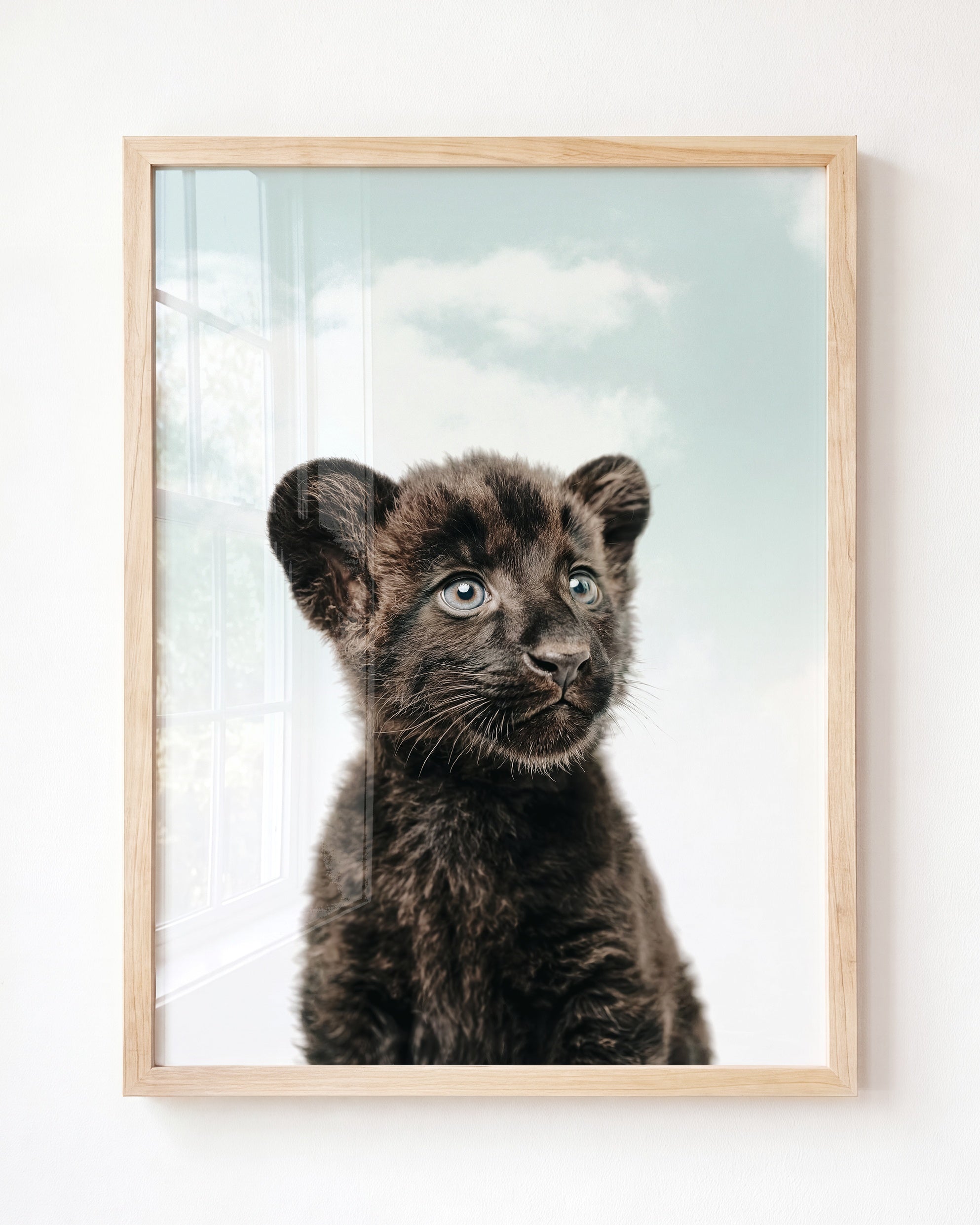 Baby Panther