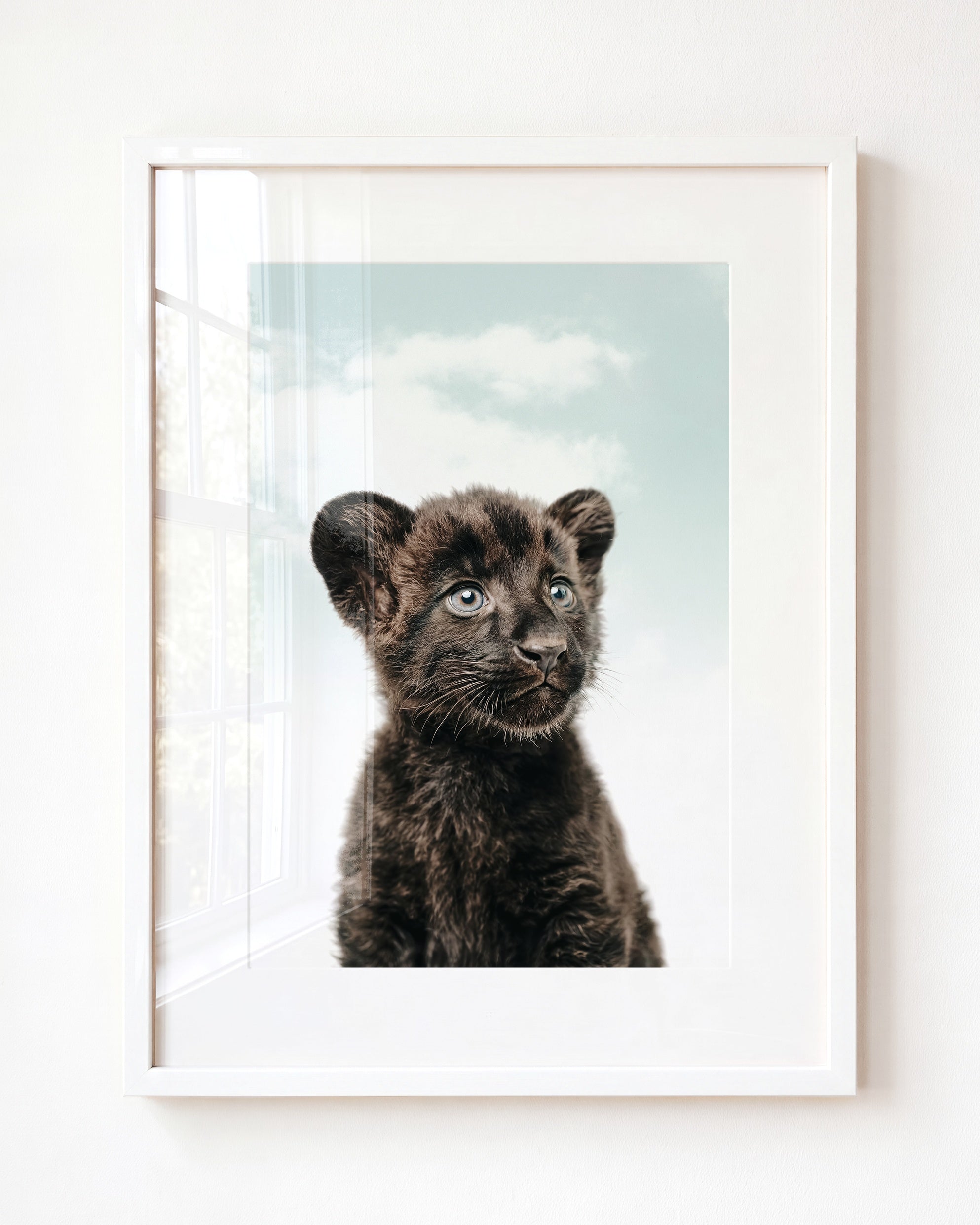 Baby Panther