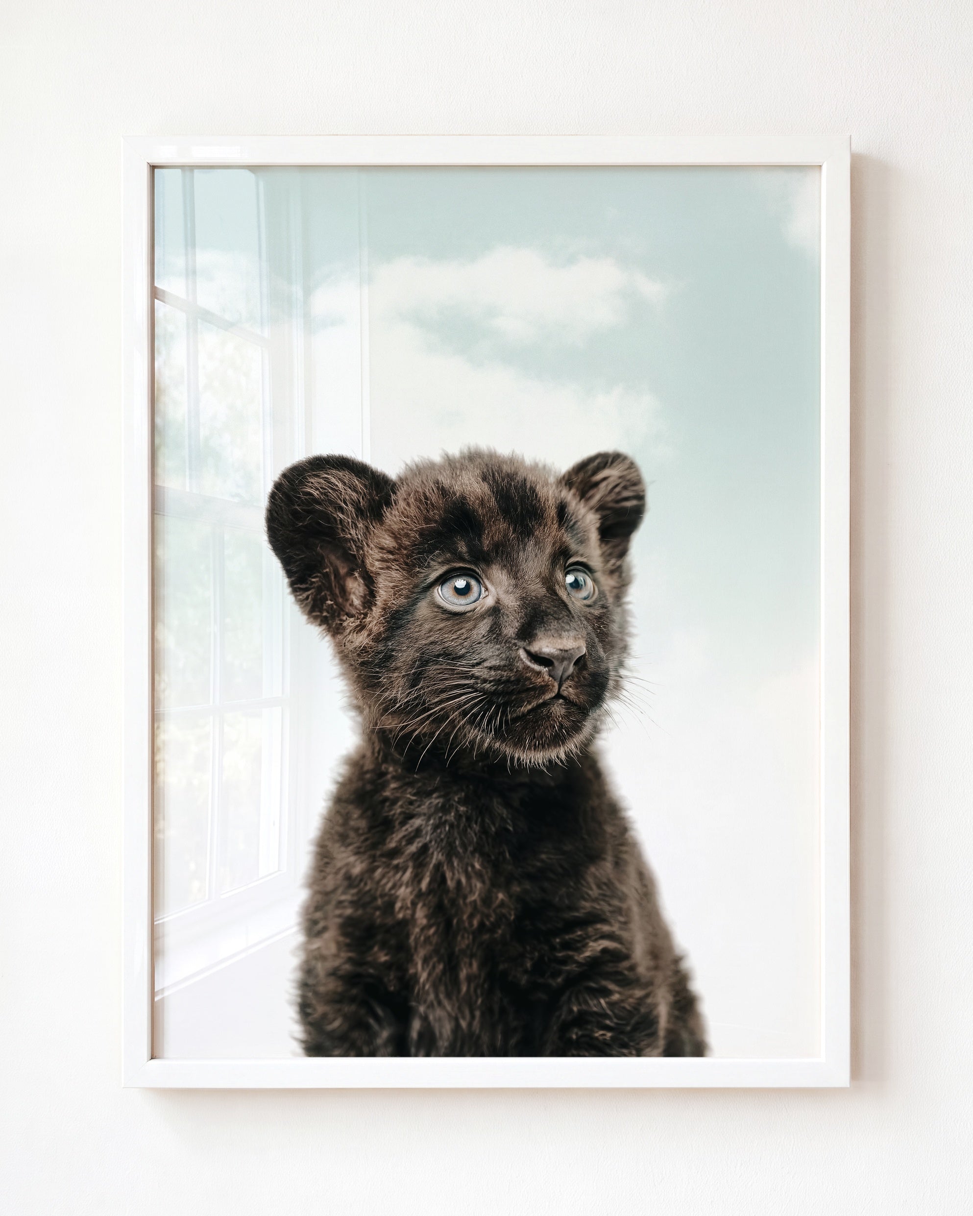 Baby Panther