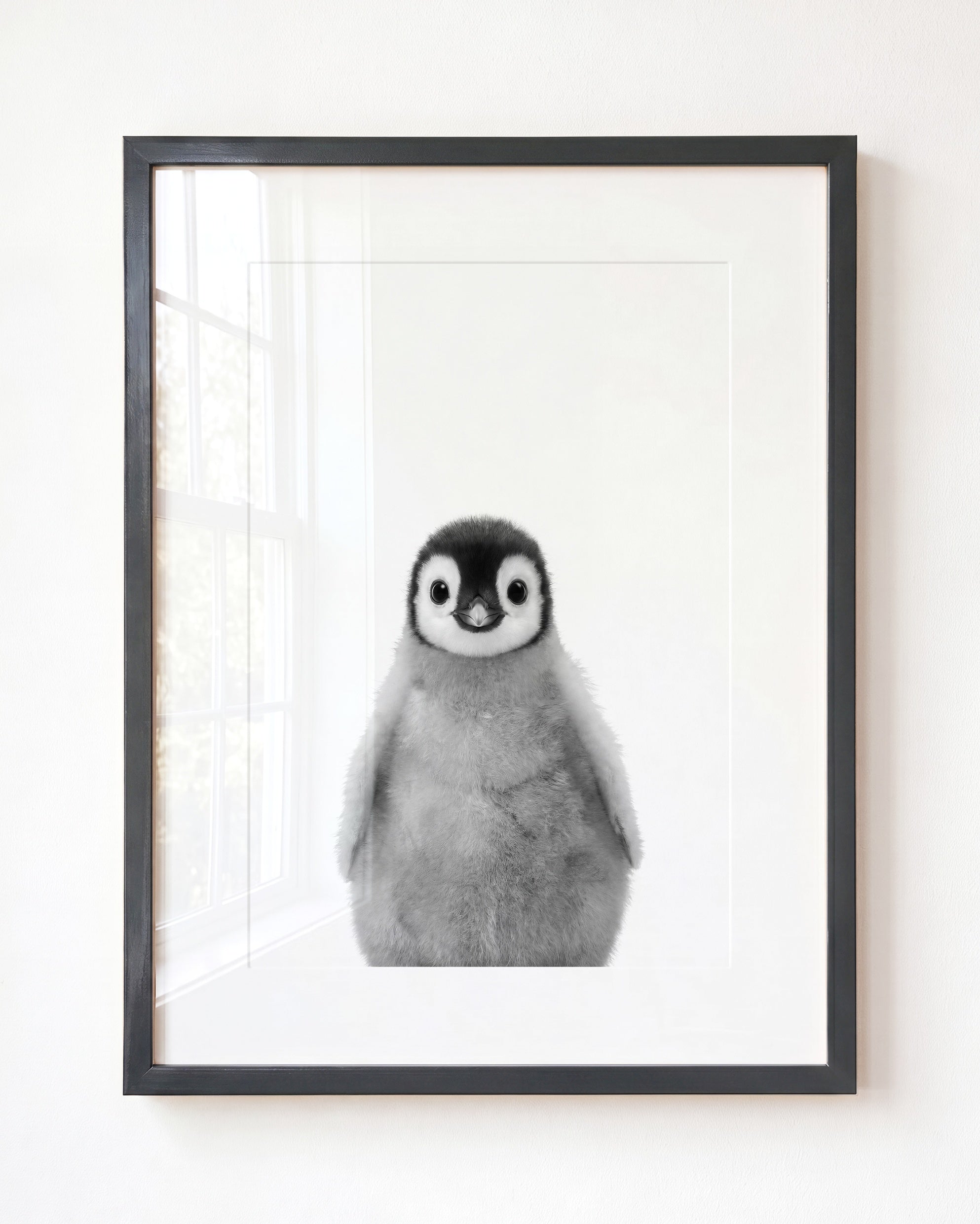 Baby Penguin