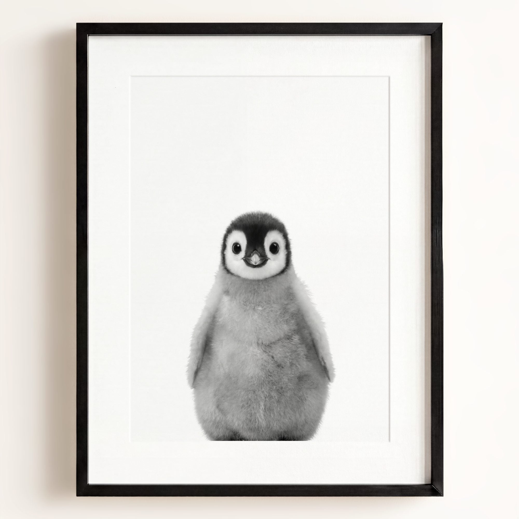 Baby Penguin