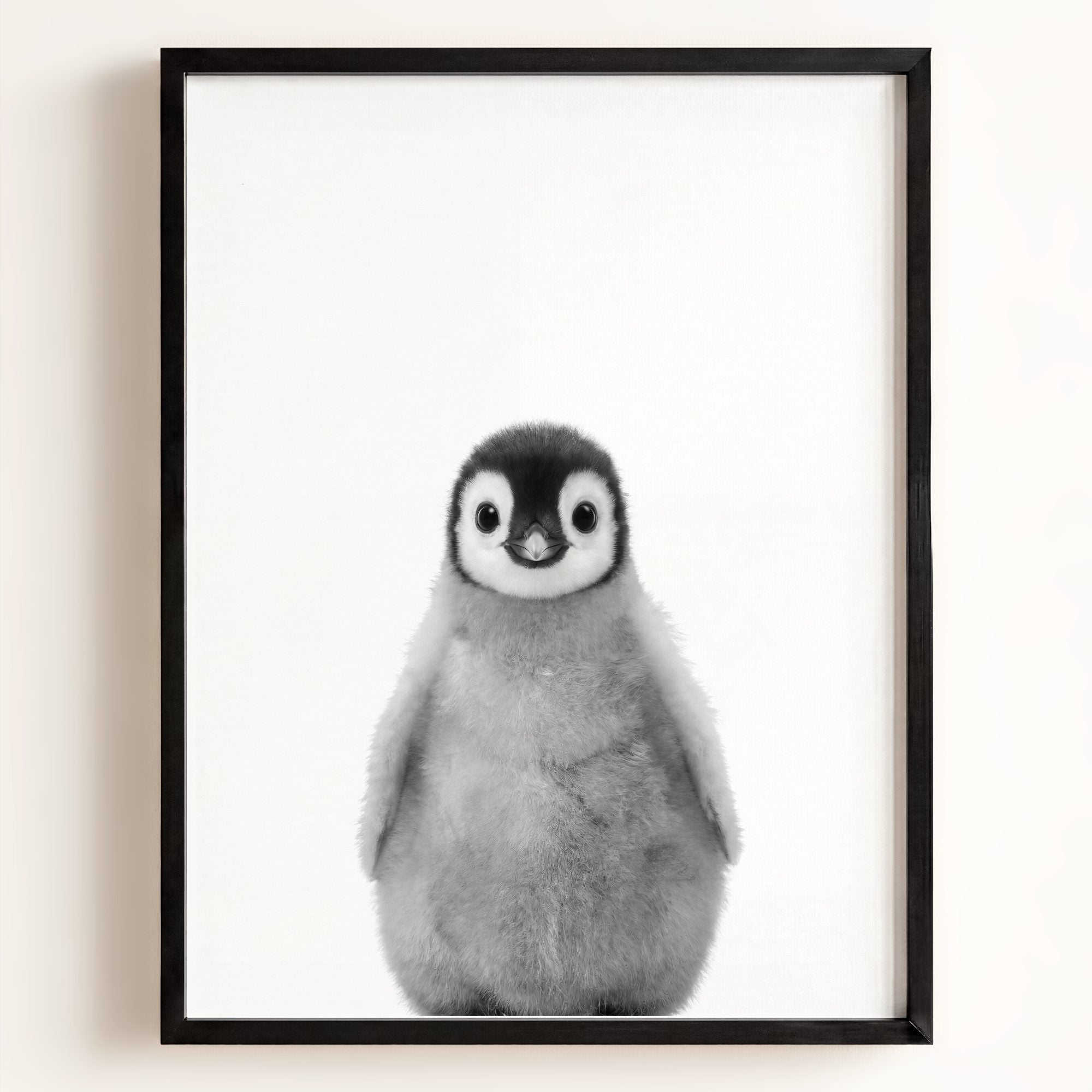 Baby Penguin