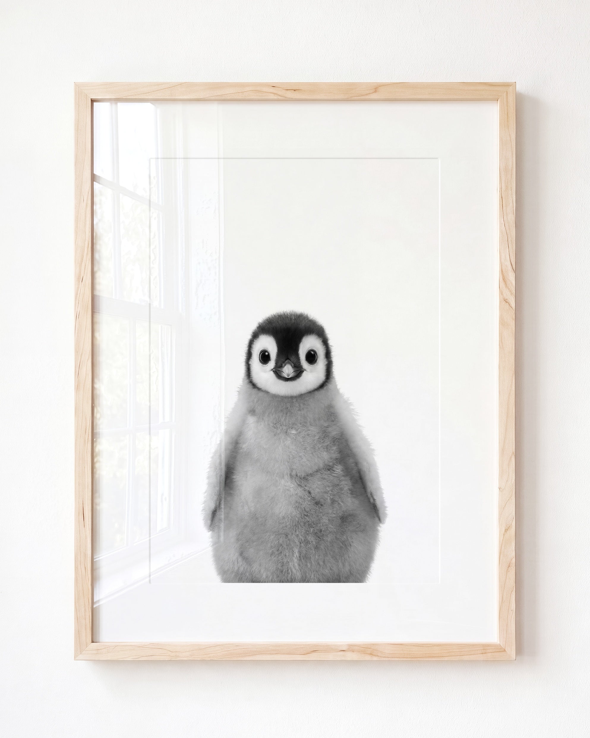 Baby Penguin
