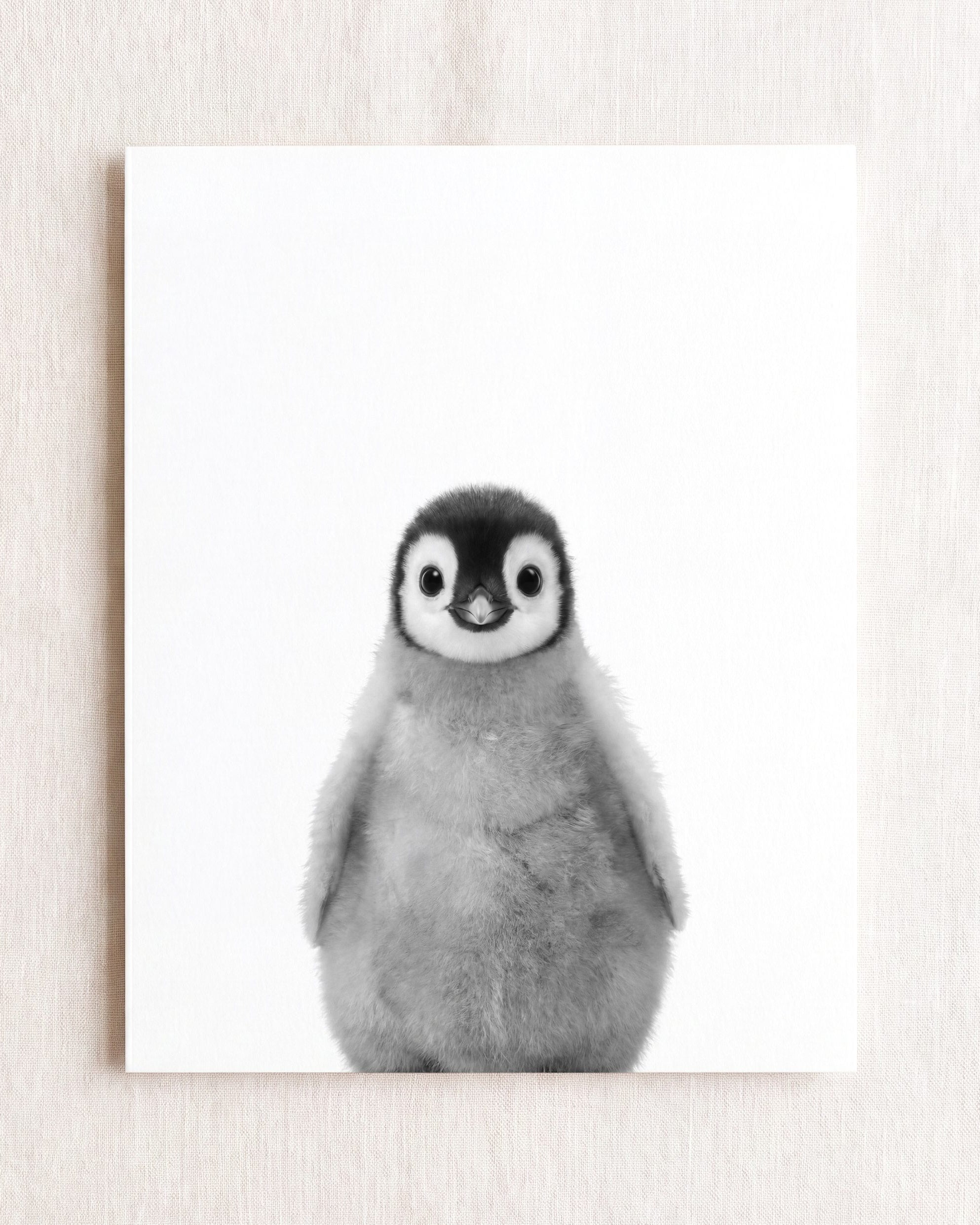 Baby Penguin