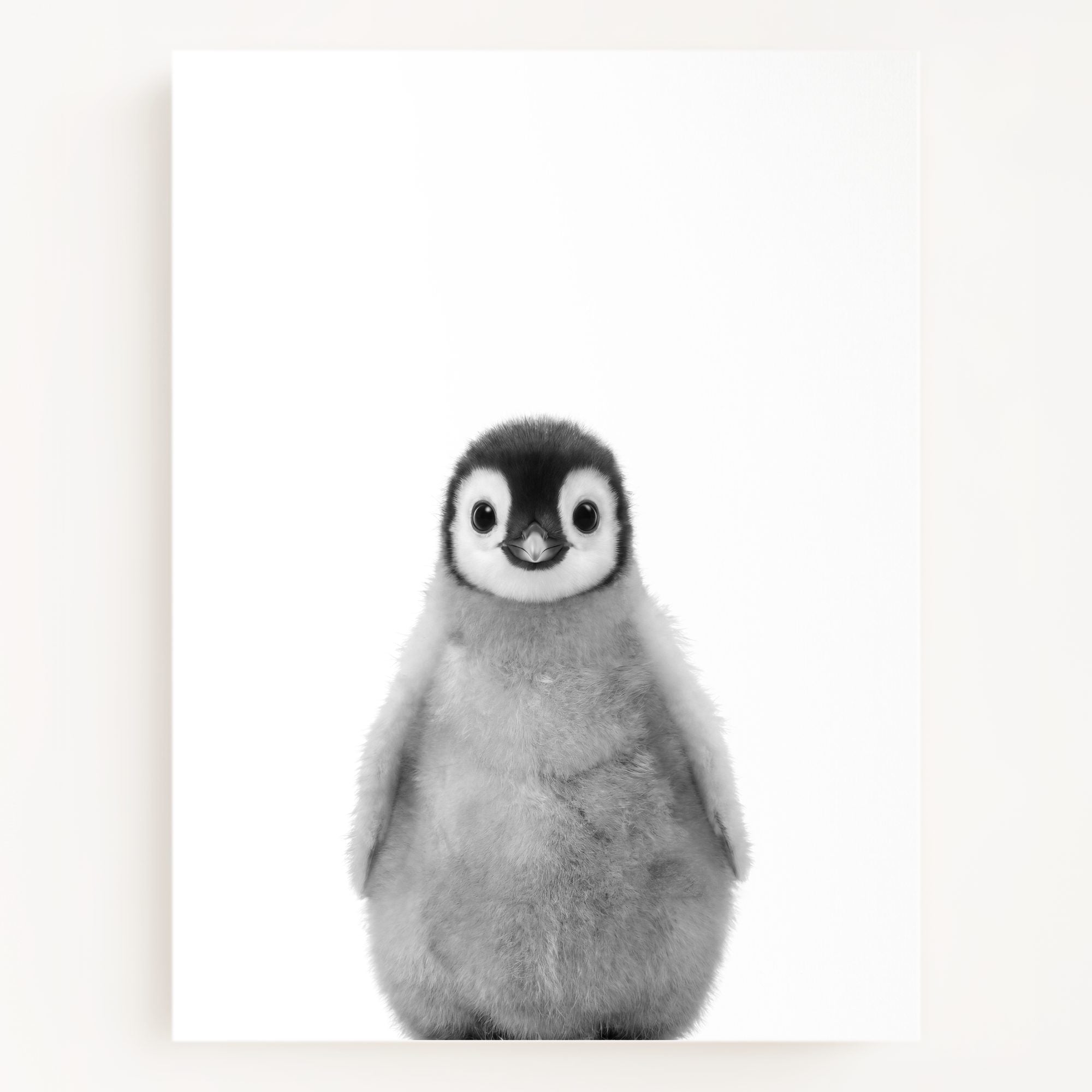 Baby Penguin
