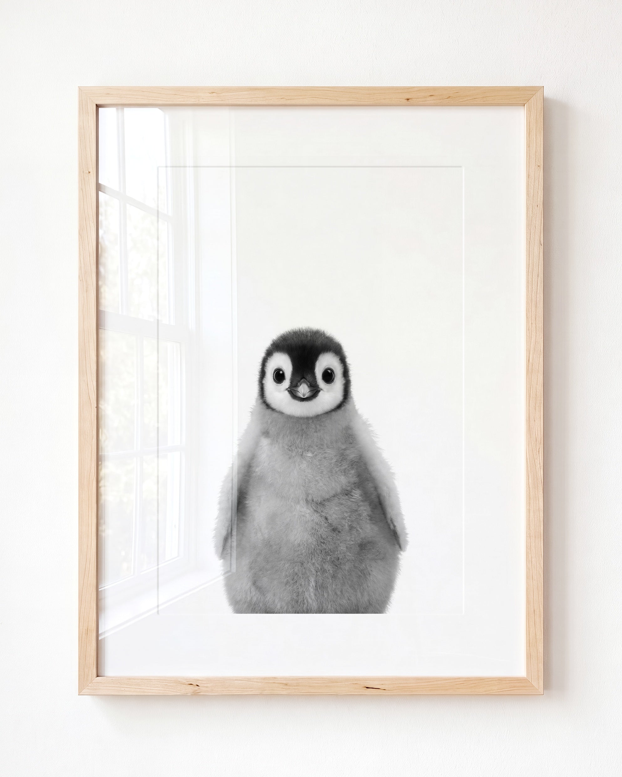 Baby Penguin